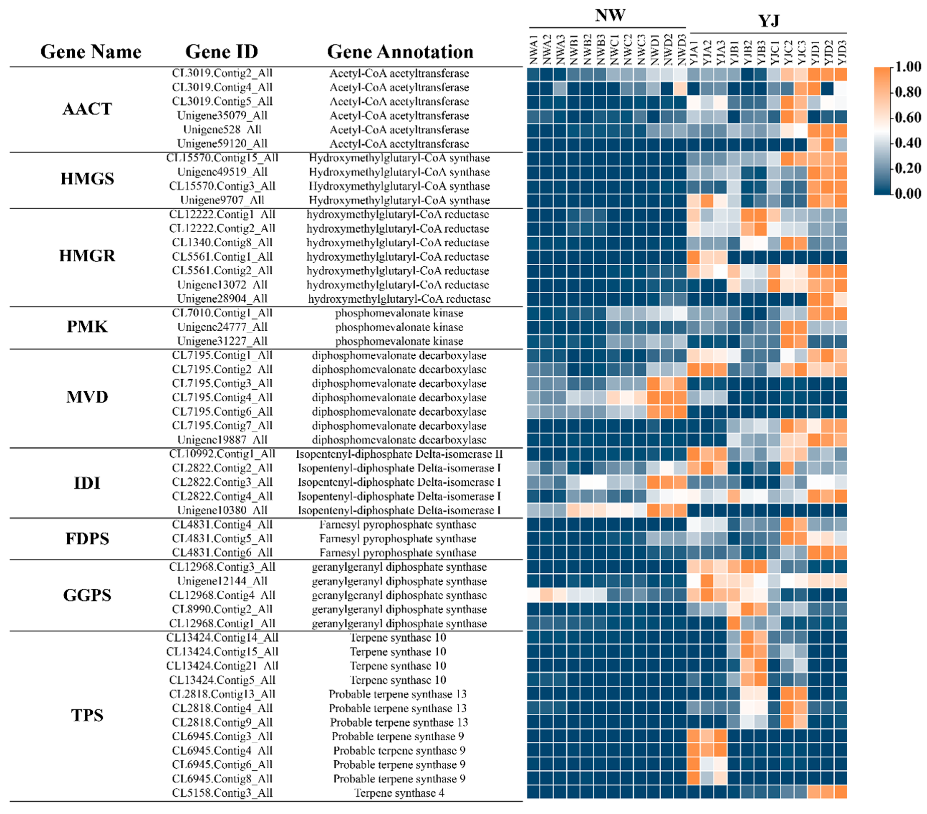 Horticulturae 10 00959 g008 Horticulturae 10 00959 g008