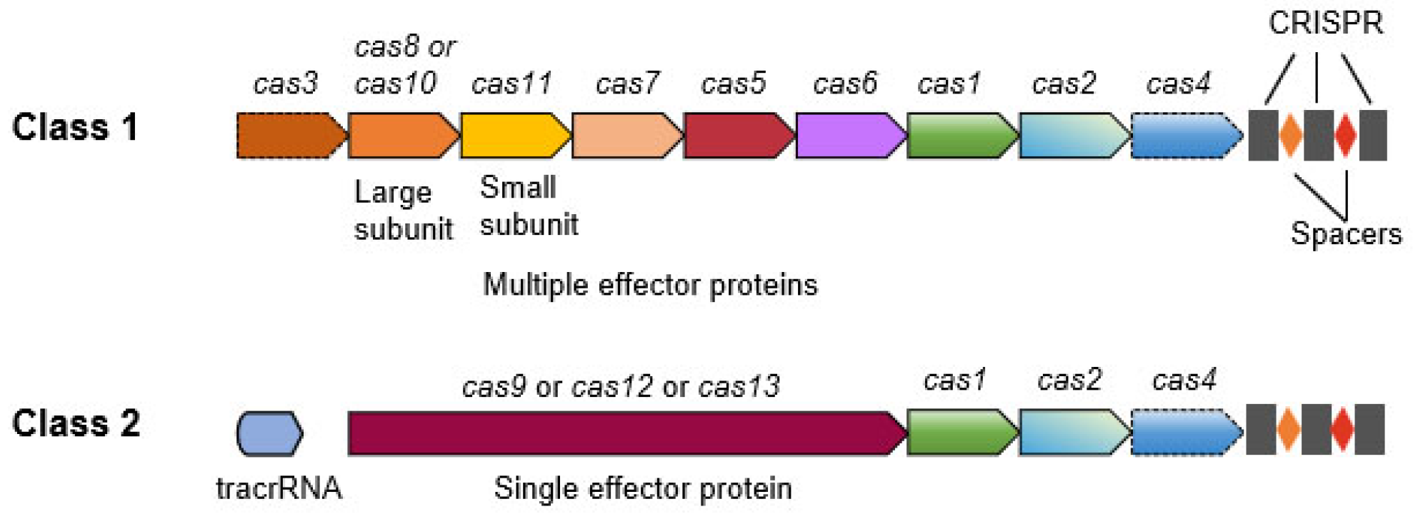 Horticulturae 10 00965 g001 Horticulturae 10 00965 g001