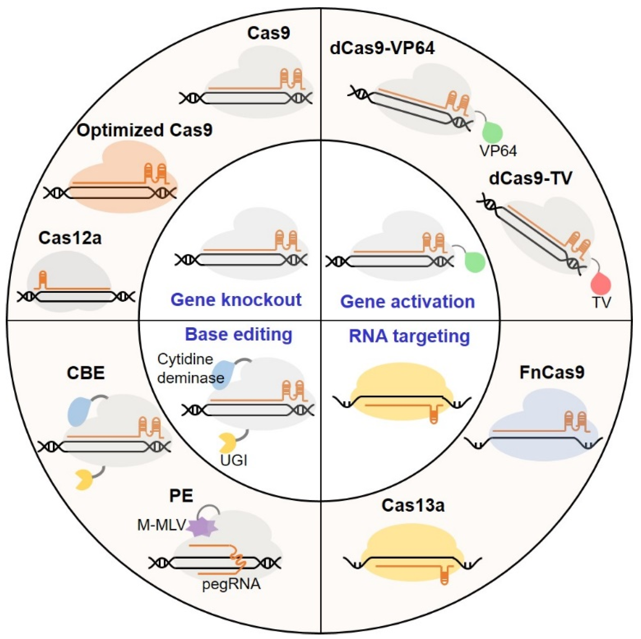 Horticulturae 10 00965 g003 Horticulturae 10 00965 g003