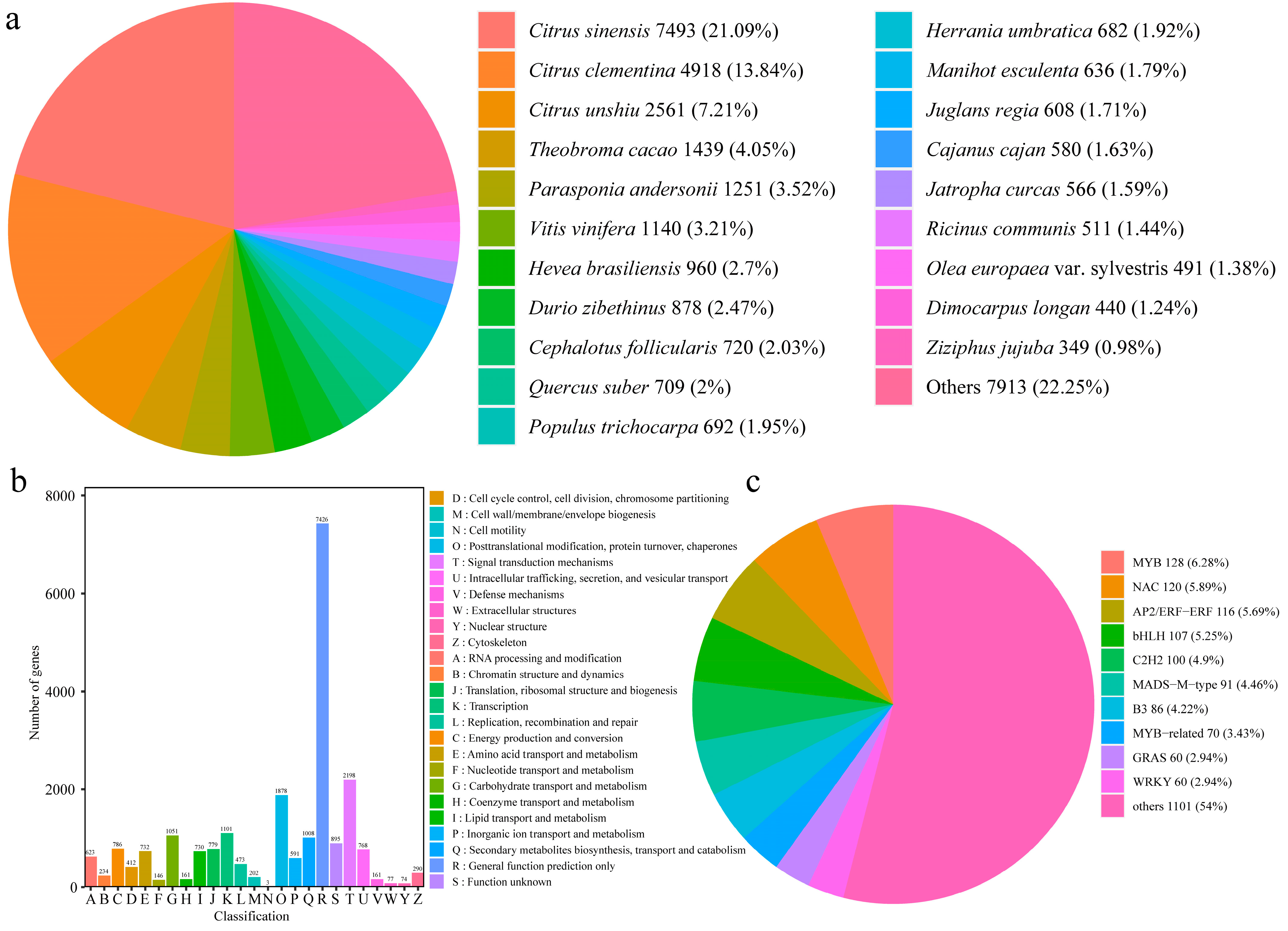 Horticulturae 10 00974 g001