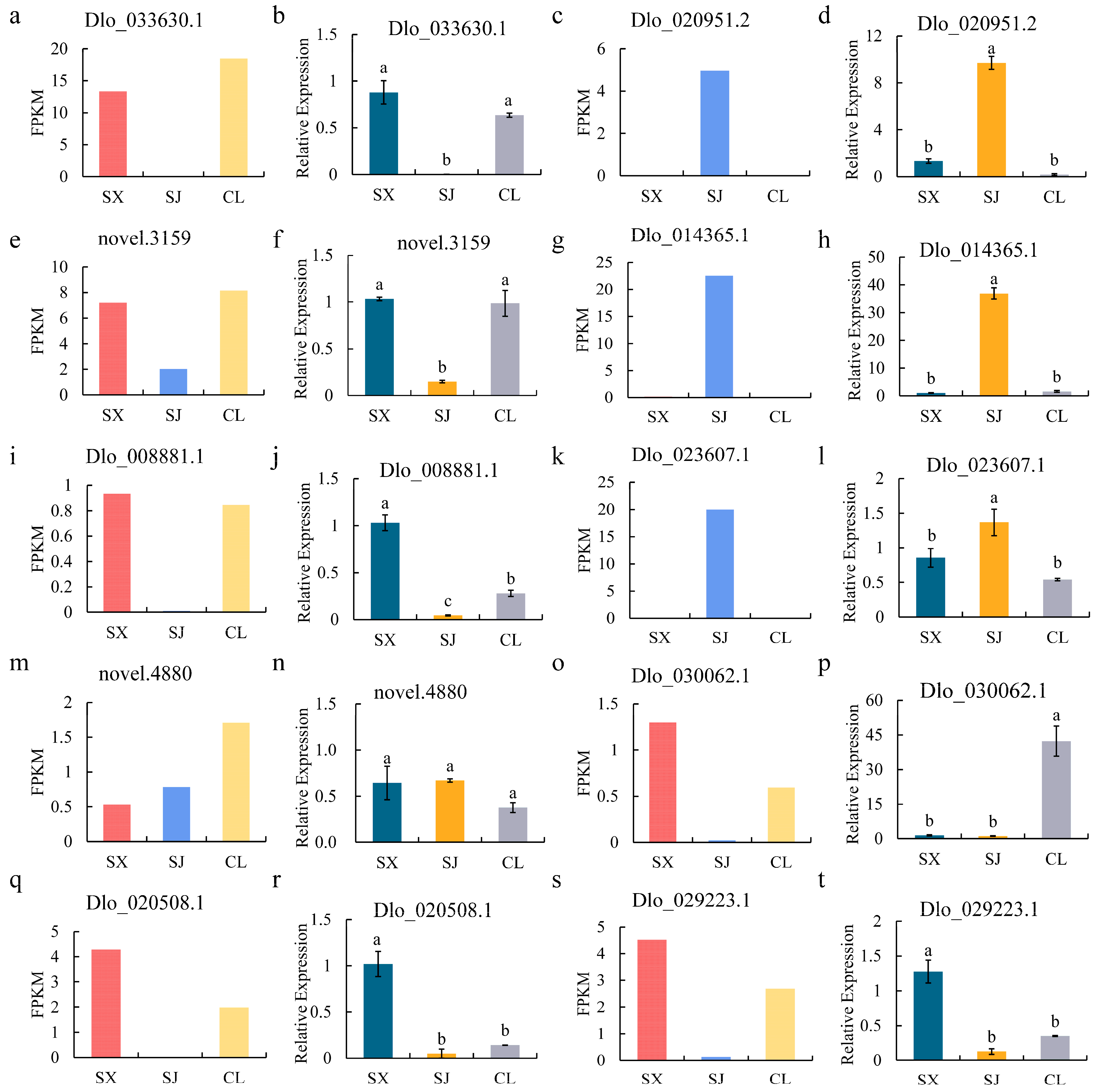 Horticulturae 10 00974 g005