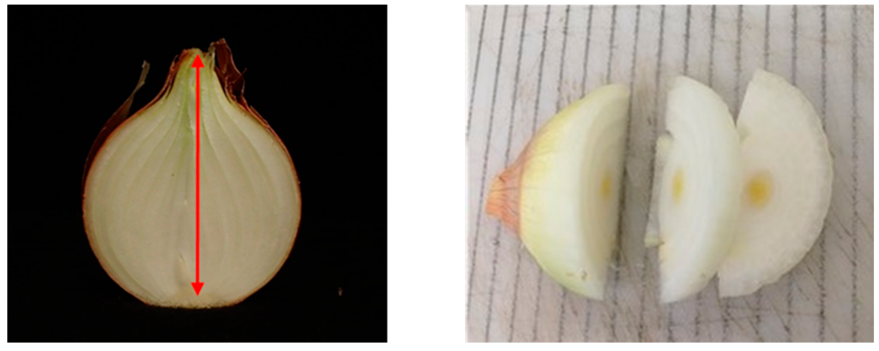 Horticulturae 10 00975 g0a1