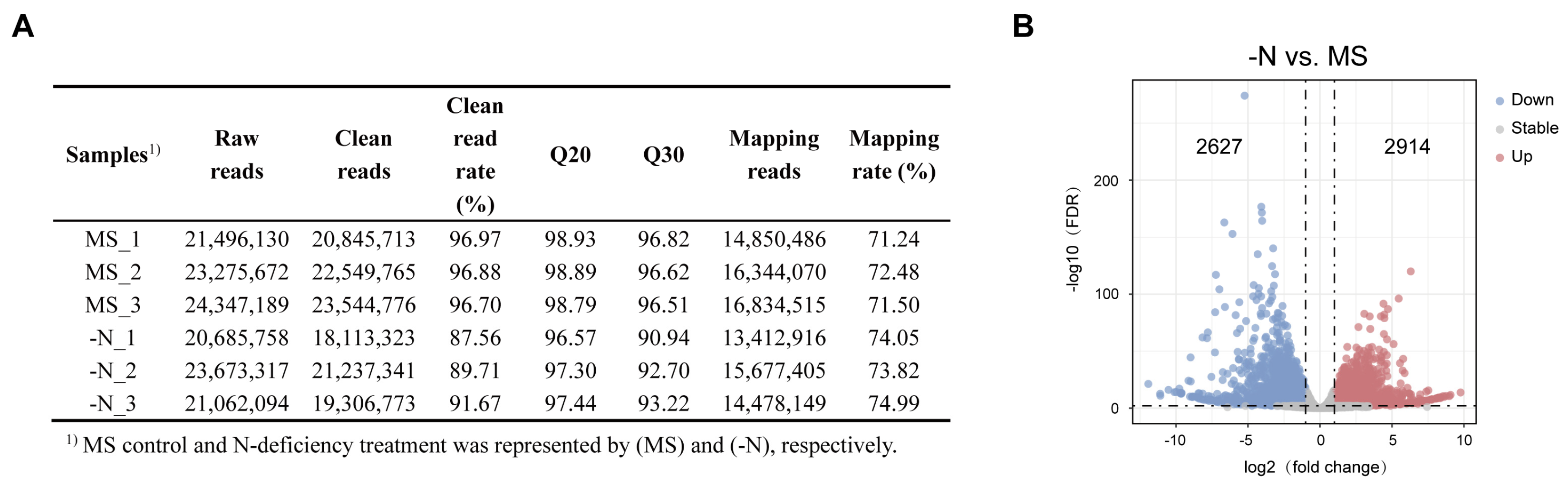 Transcriptome Analysis Identified PyNAC42 as a Positive
