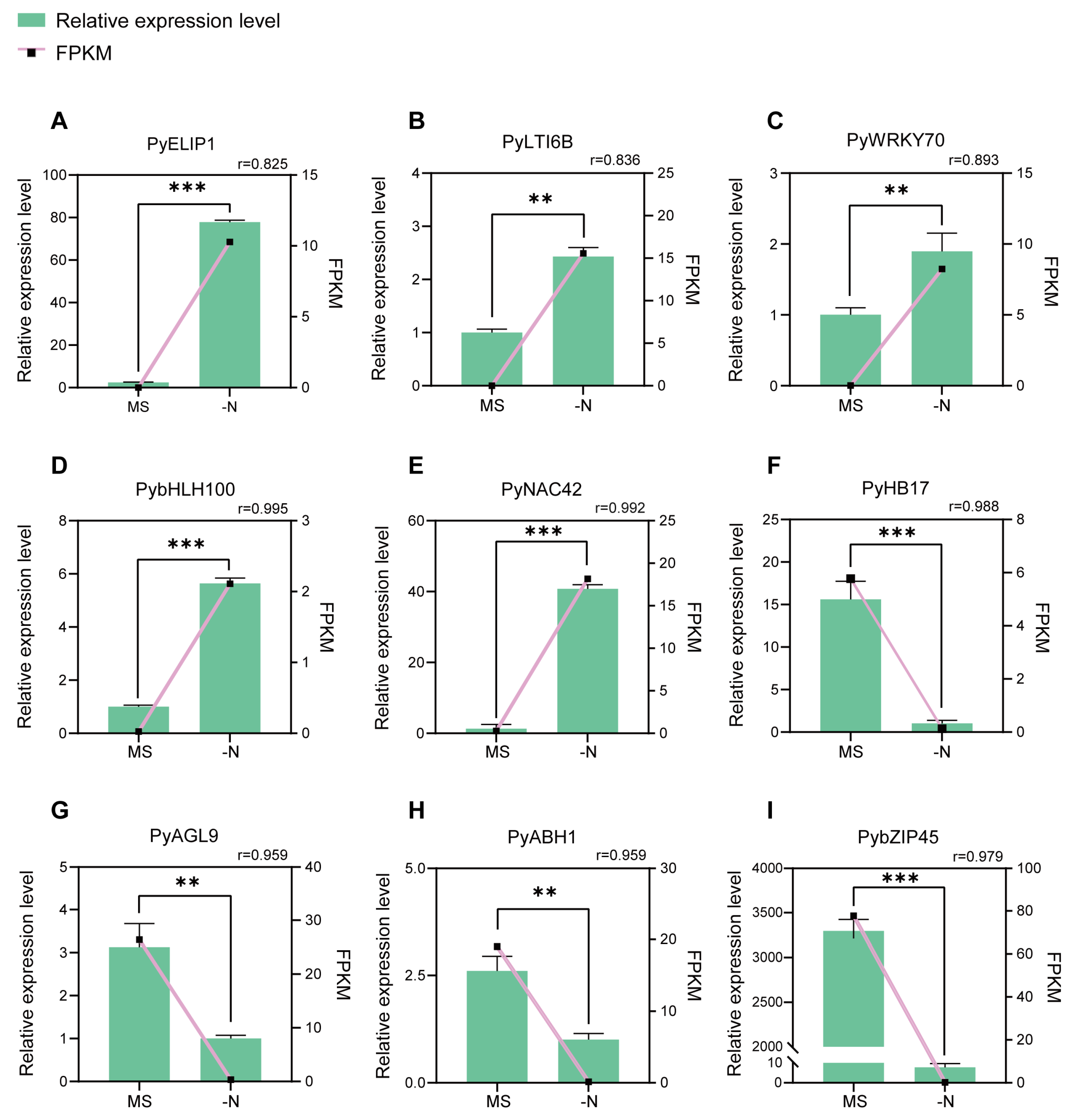 Horticulturae 10 00980 g004