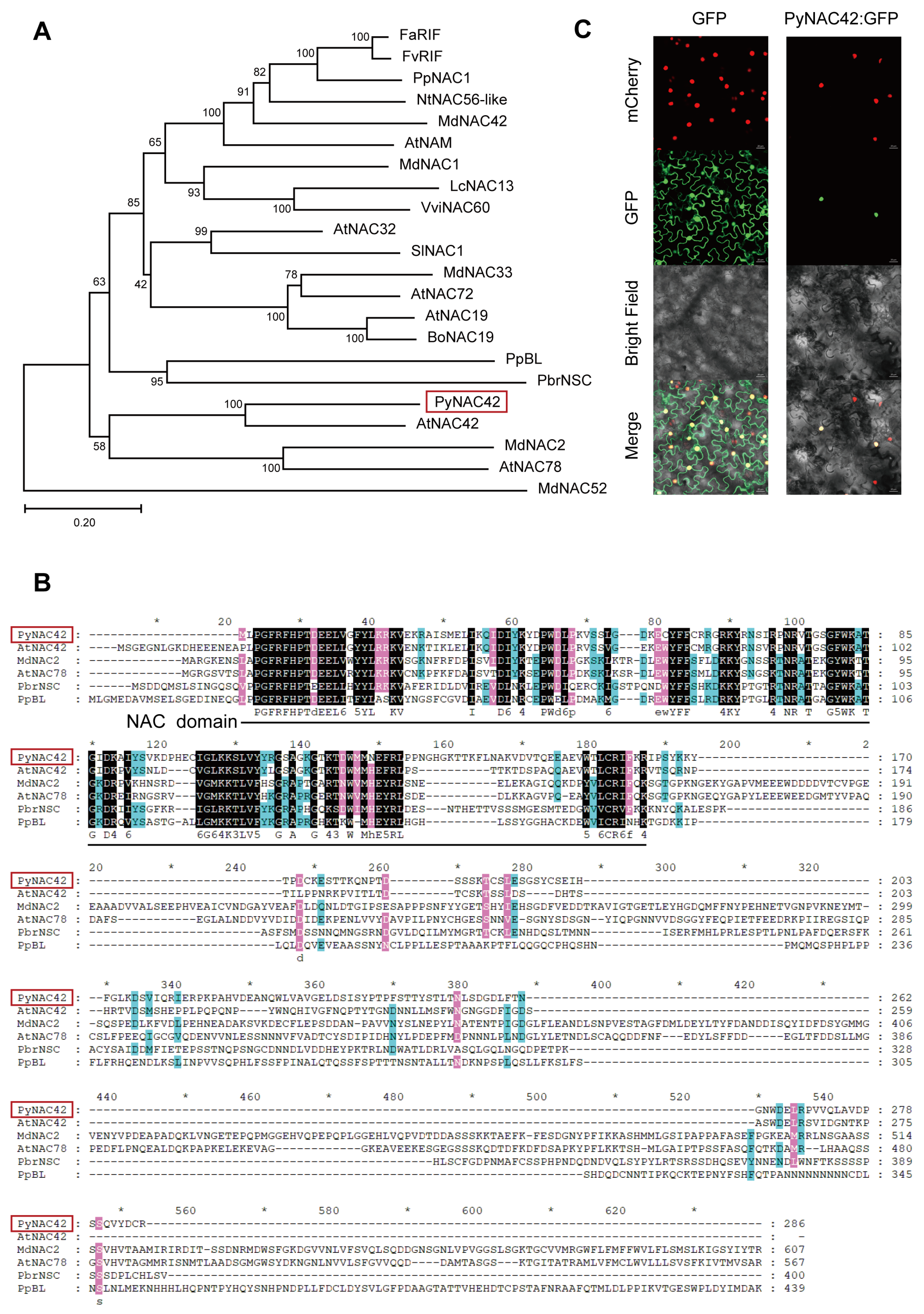 Horticulturae 10 00980 g005