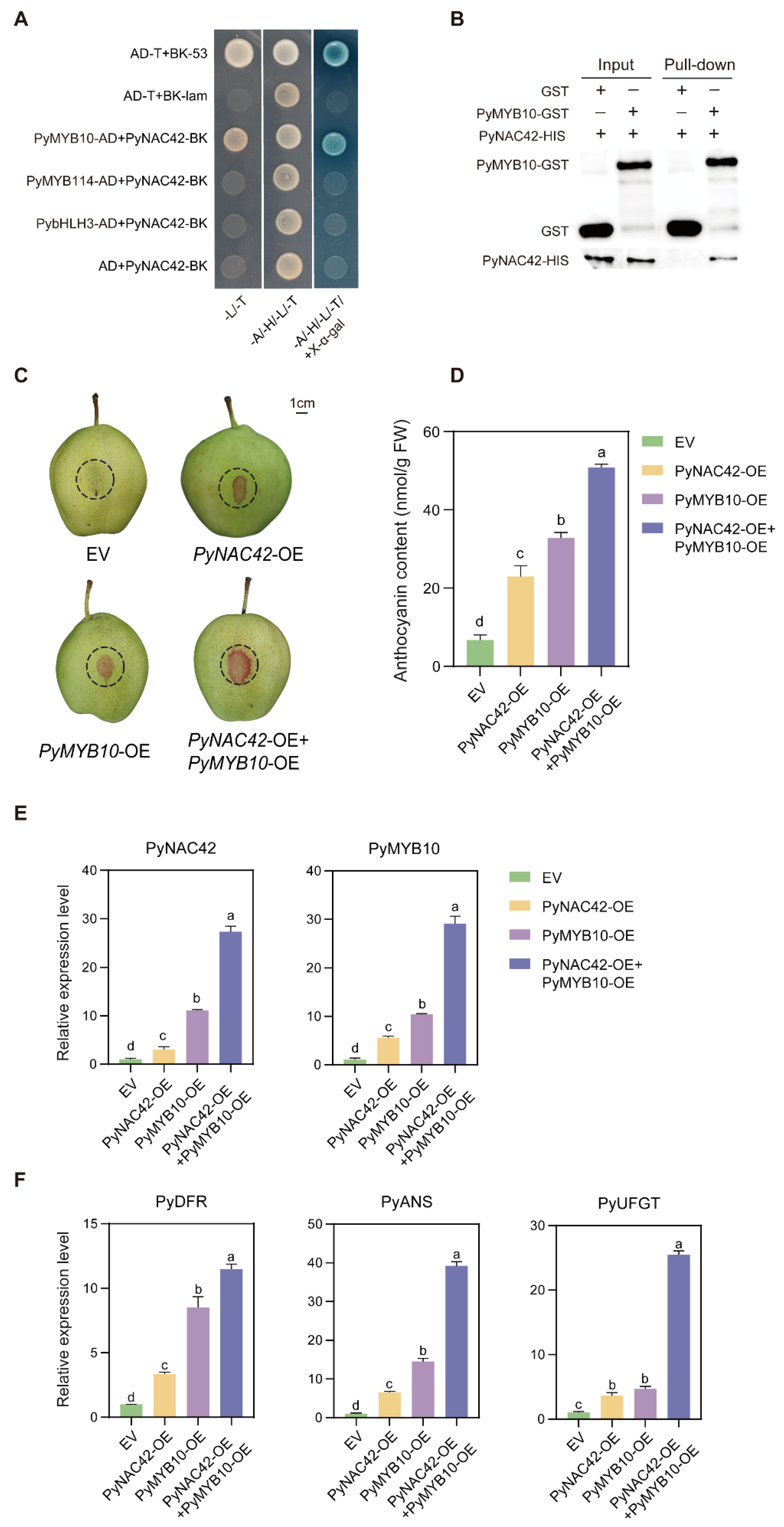 Horticulturae 10 00980 g007