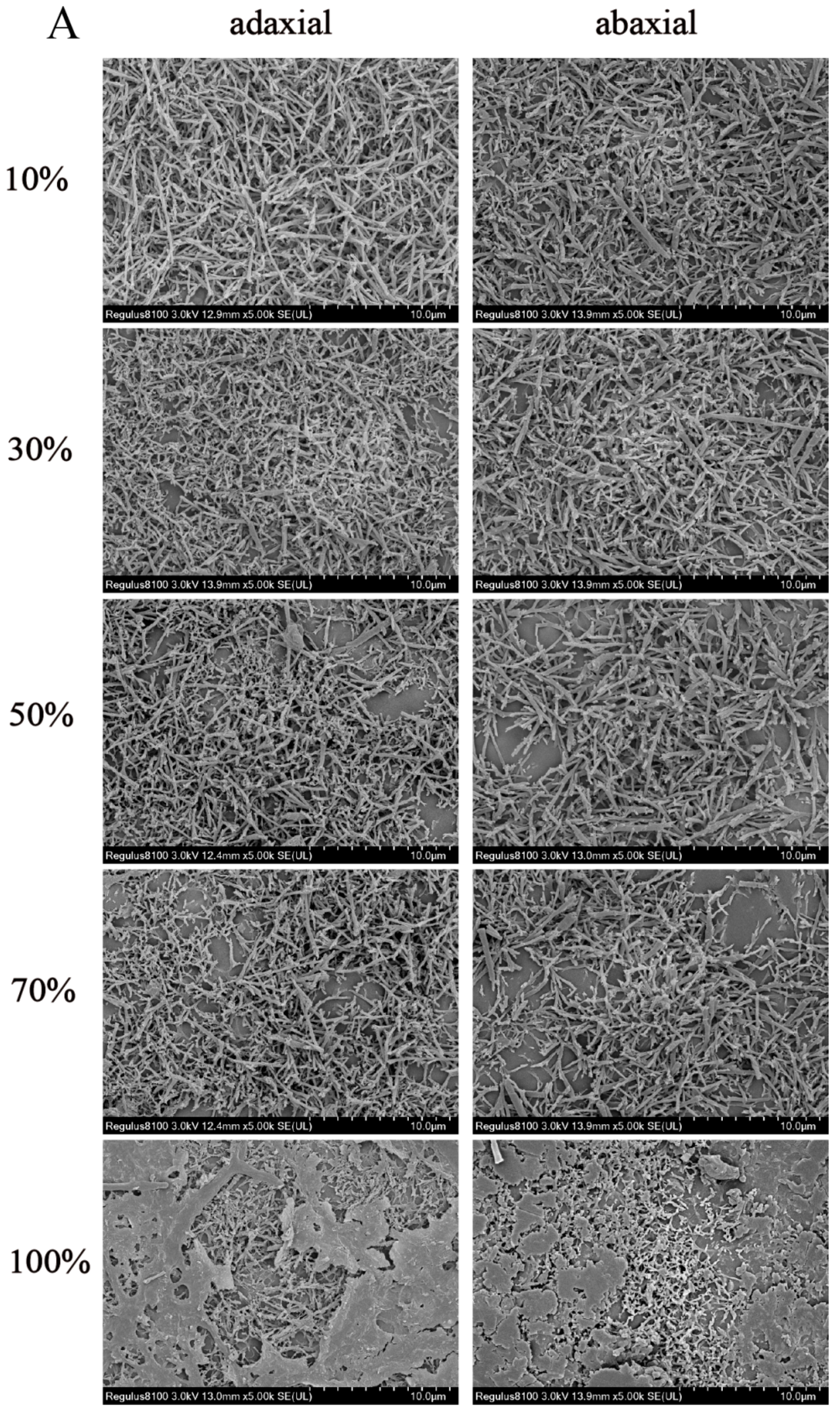 Horticulturae 10 00981 g001a