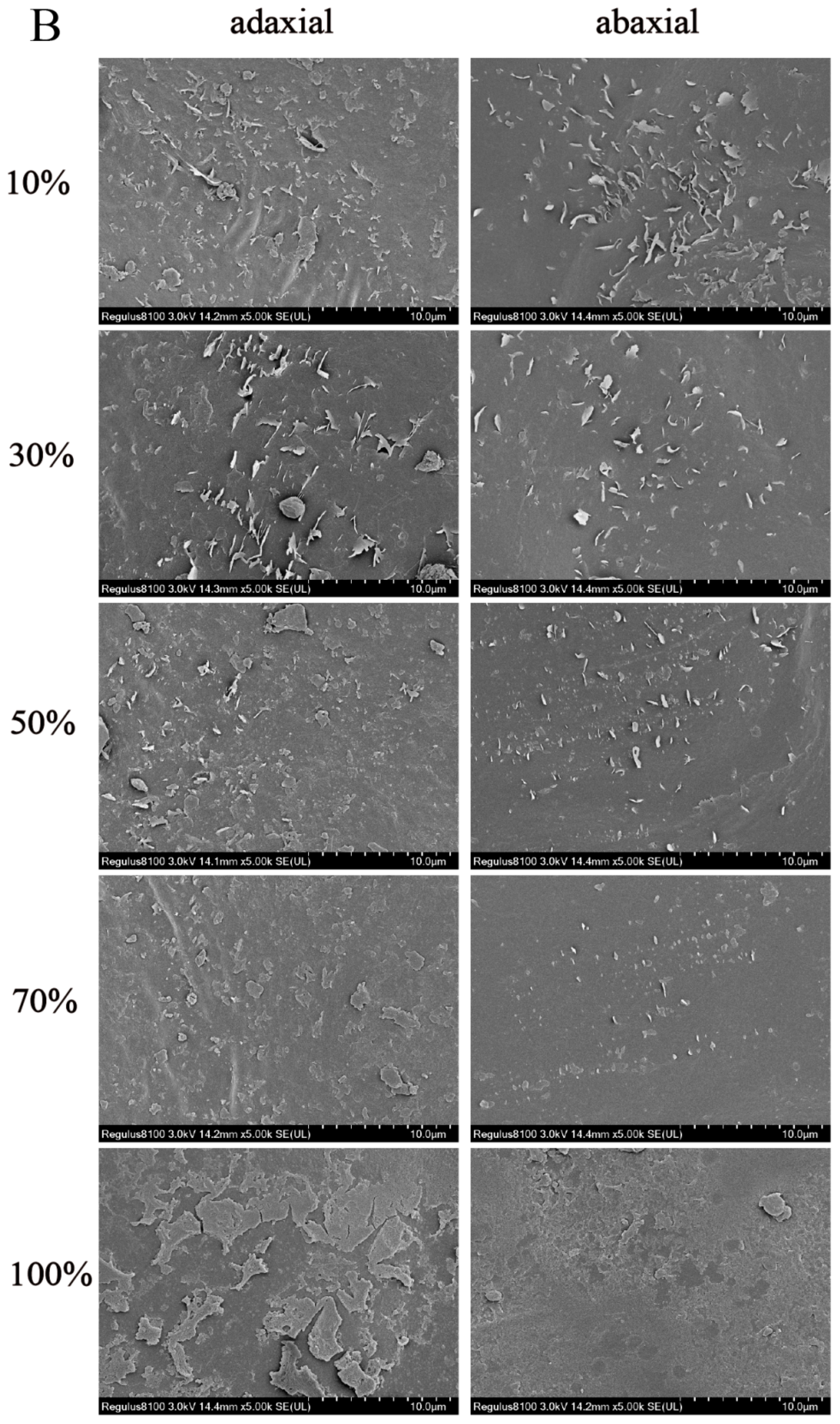 Horticulturae 10 00981 g001b