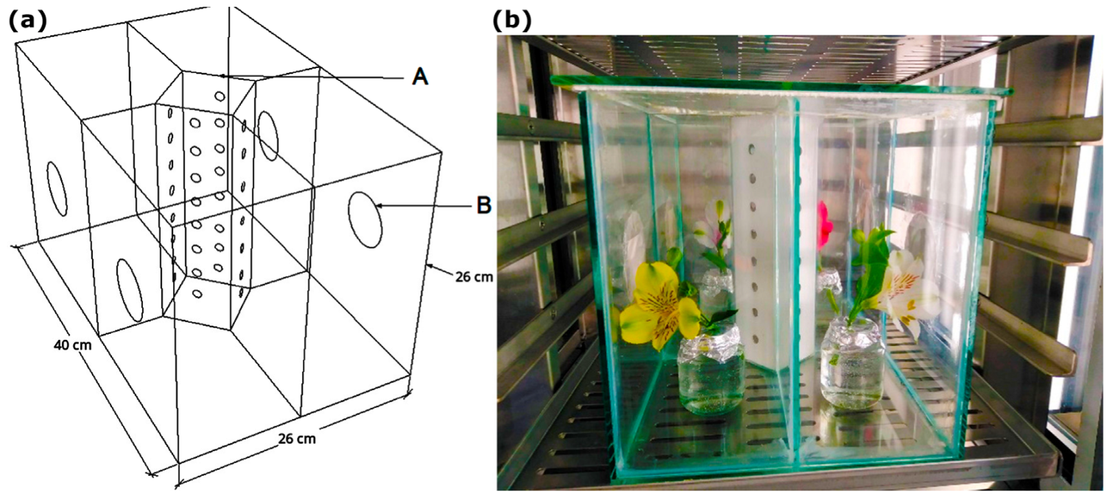 Horticulturae 10 00982 g001