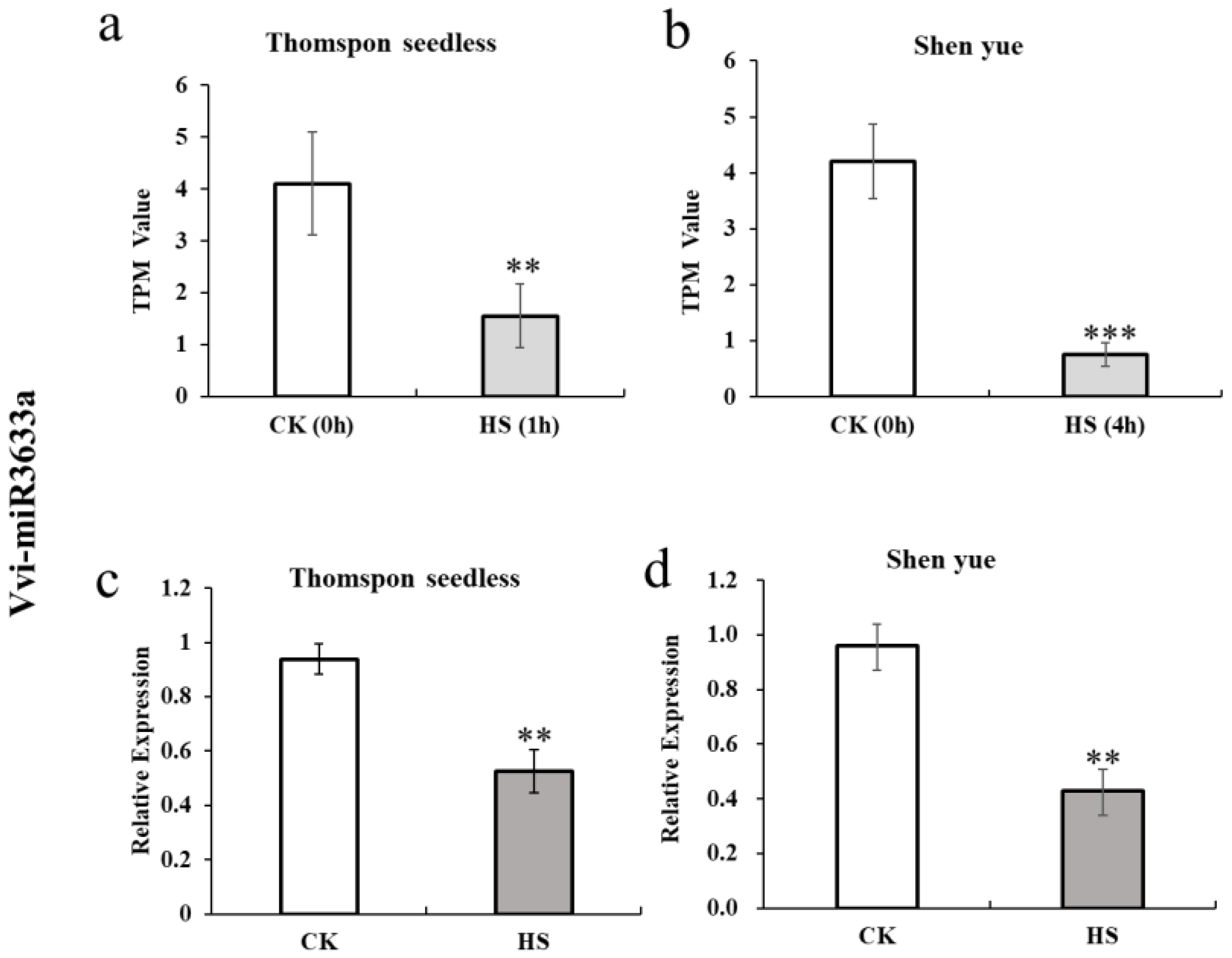 Horticulturae 10 00983 g002