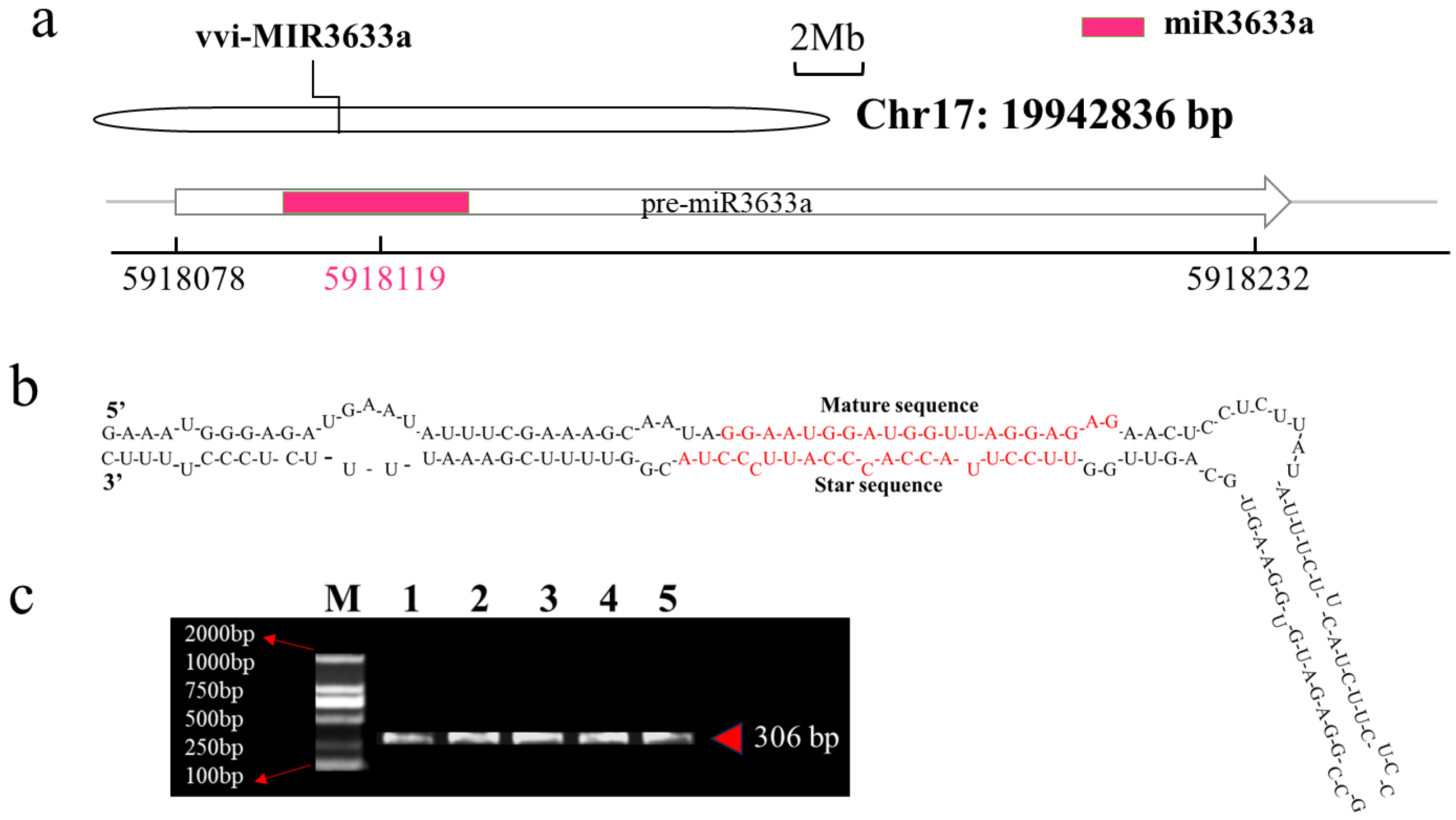 Horticulturae 10 00983 g003