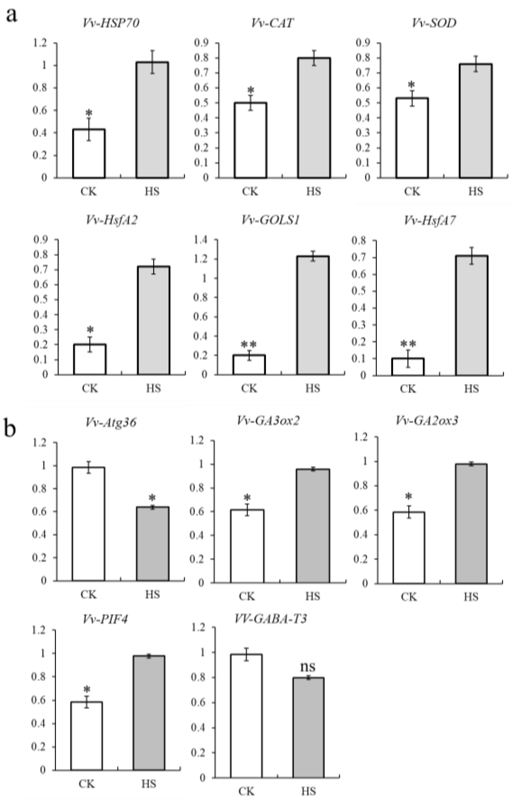 Horticulturae 10 00983 g004
