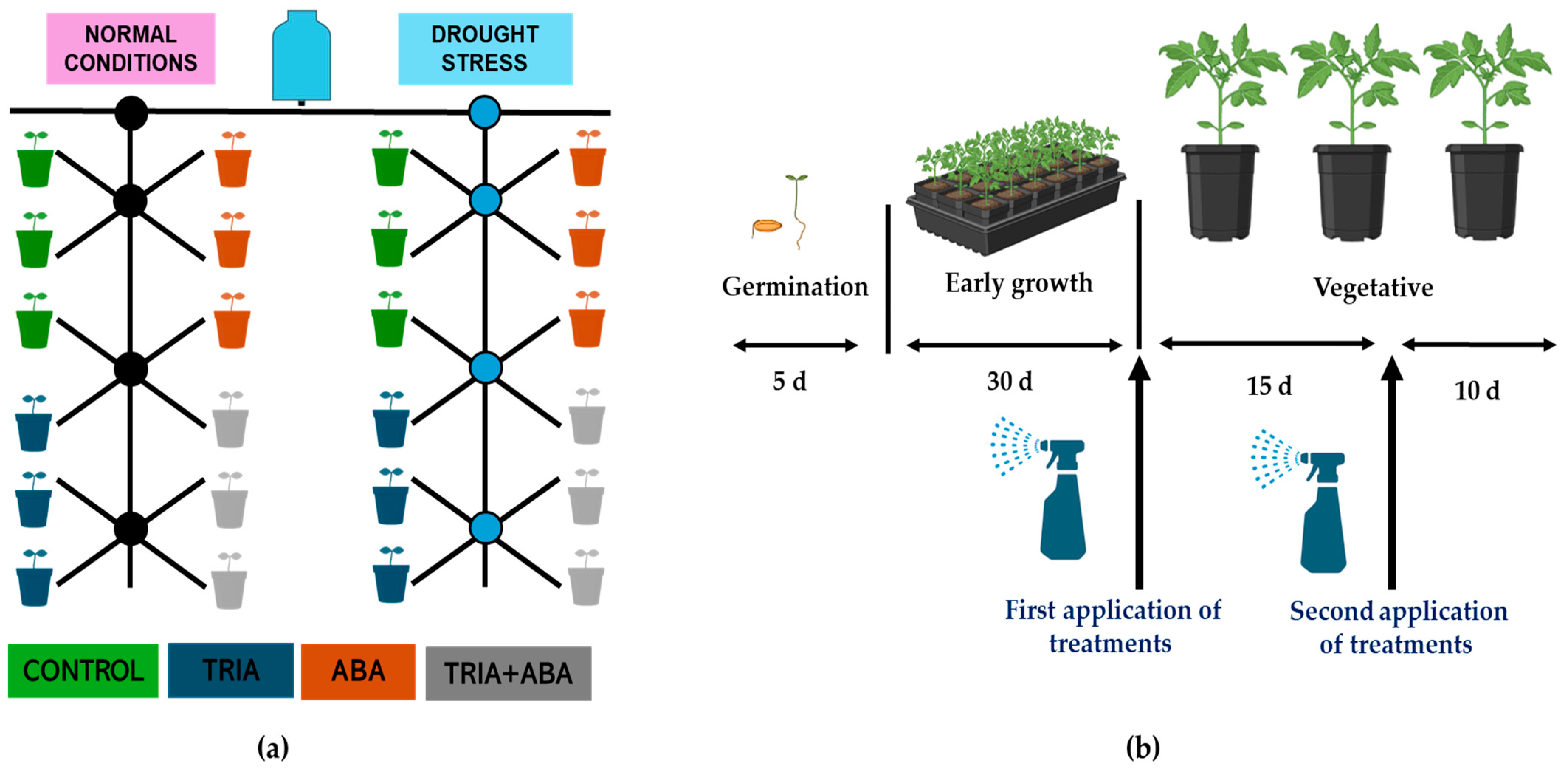 Horticulturae 10 00985 g001
