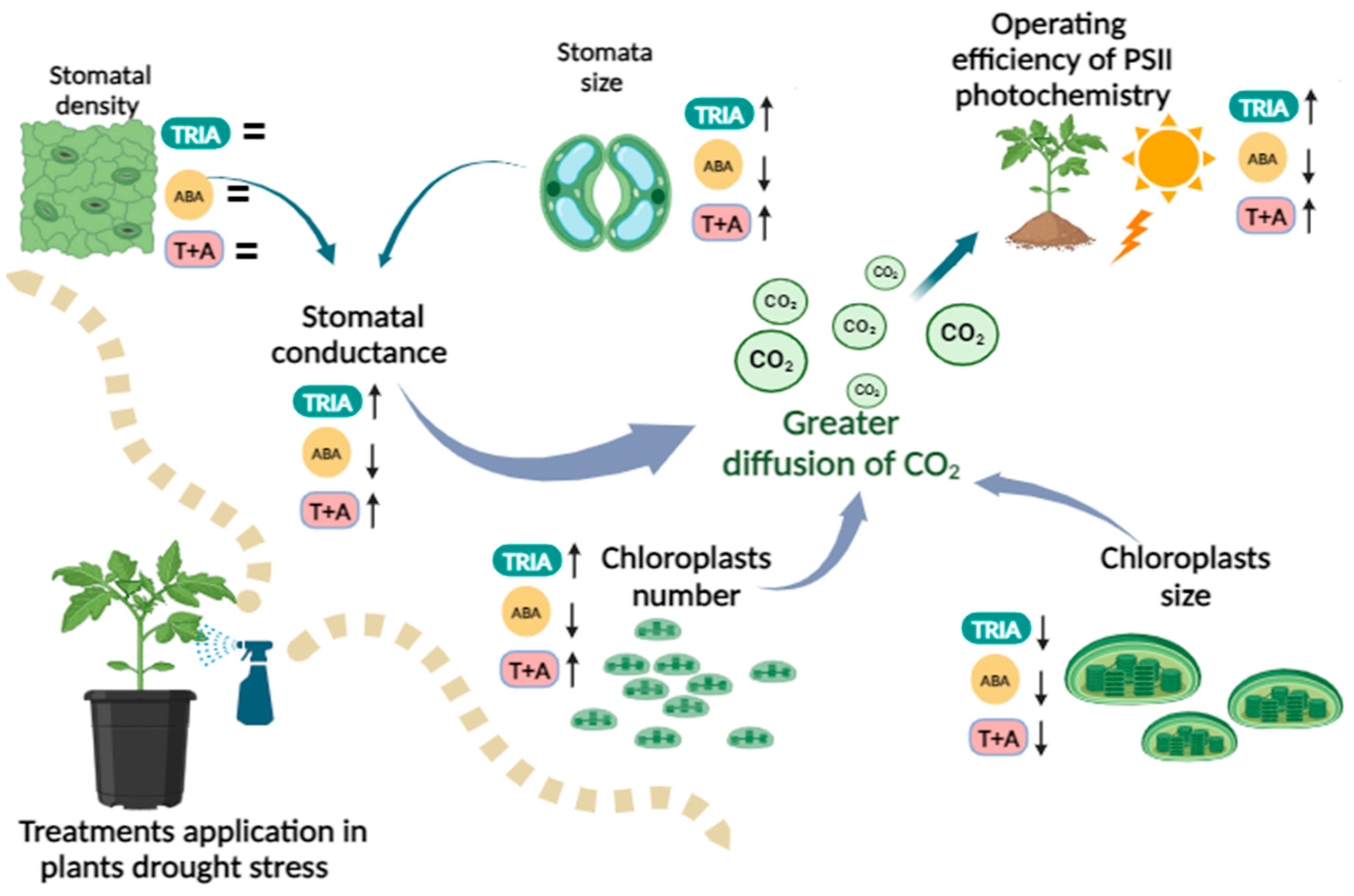 Horticulturae 10 00985 g009