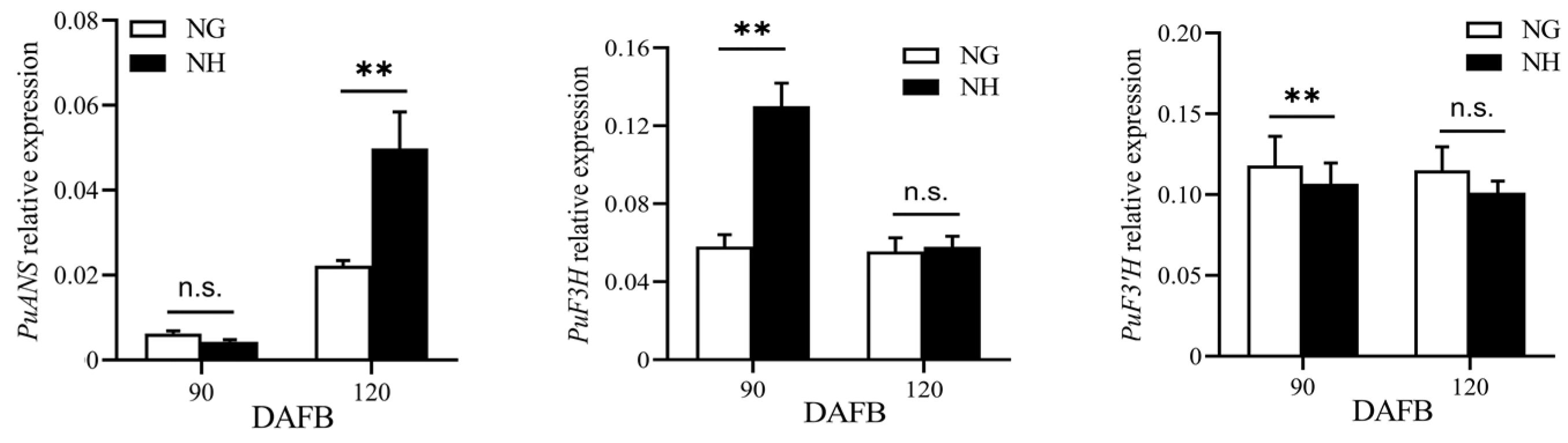 Horticulturae 10 00989 g006