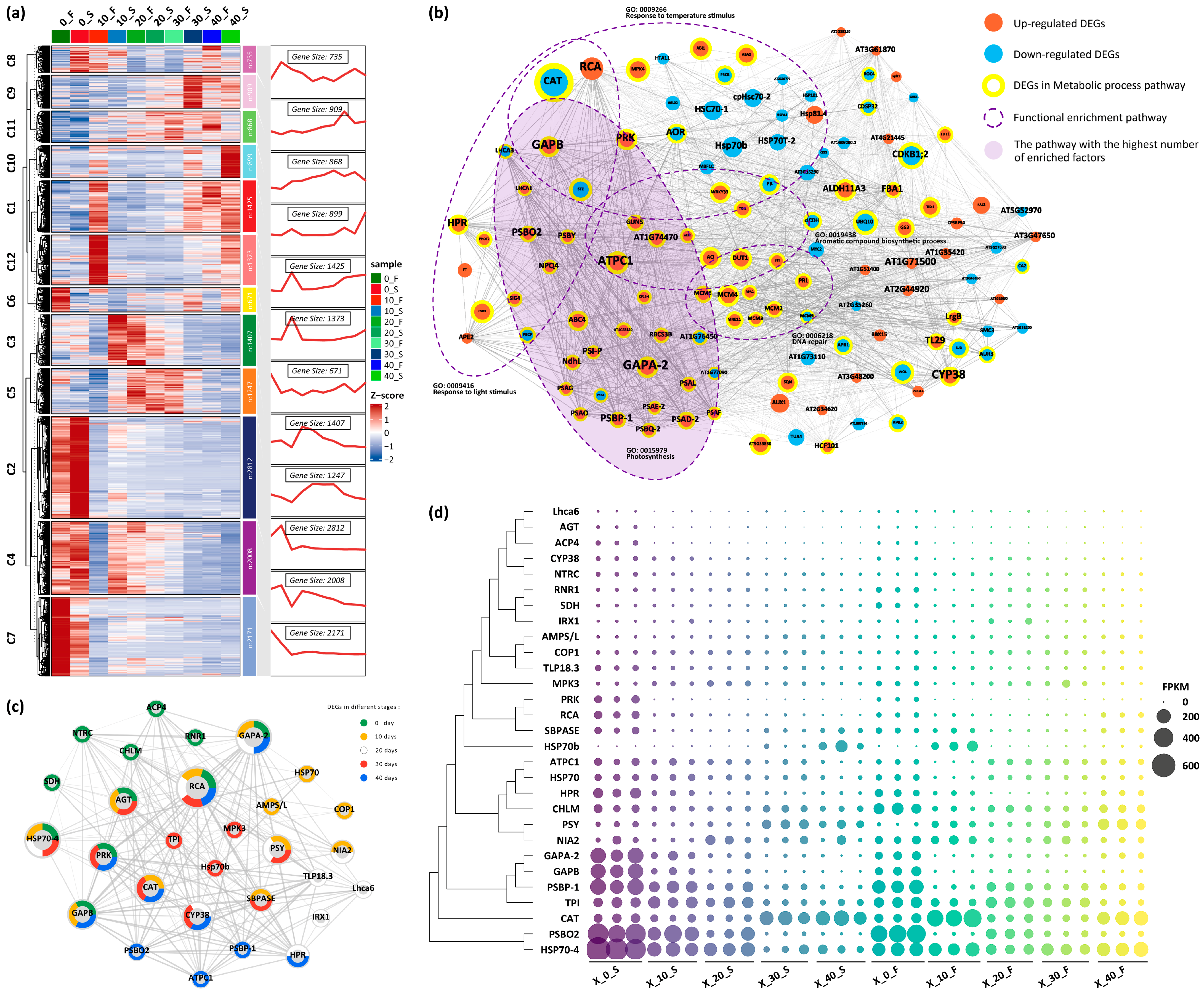 Horticulturae 10 00993 g002