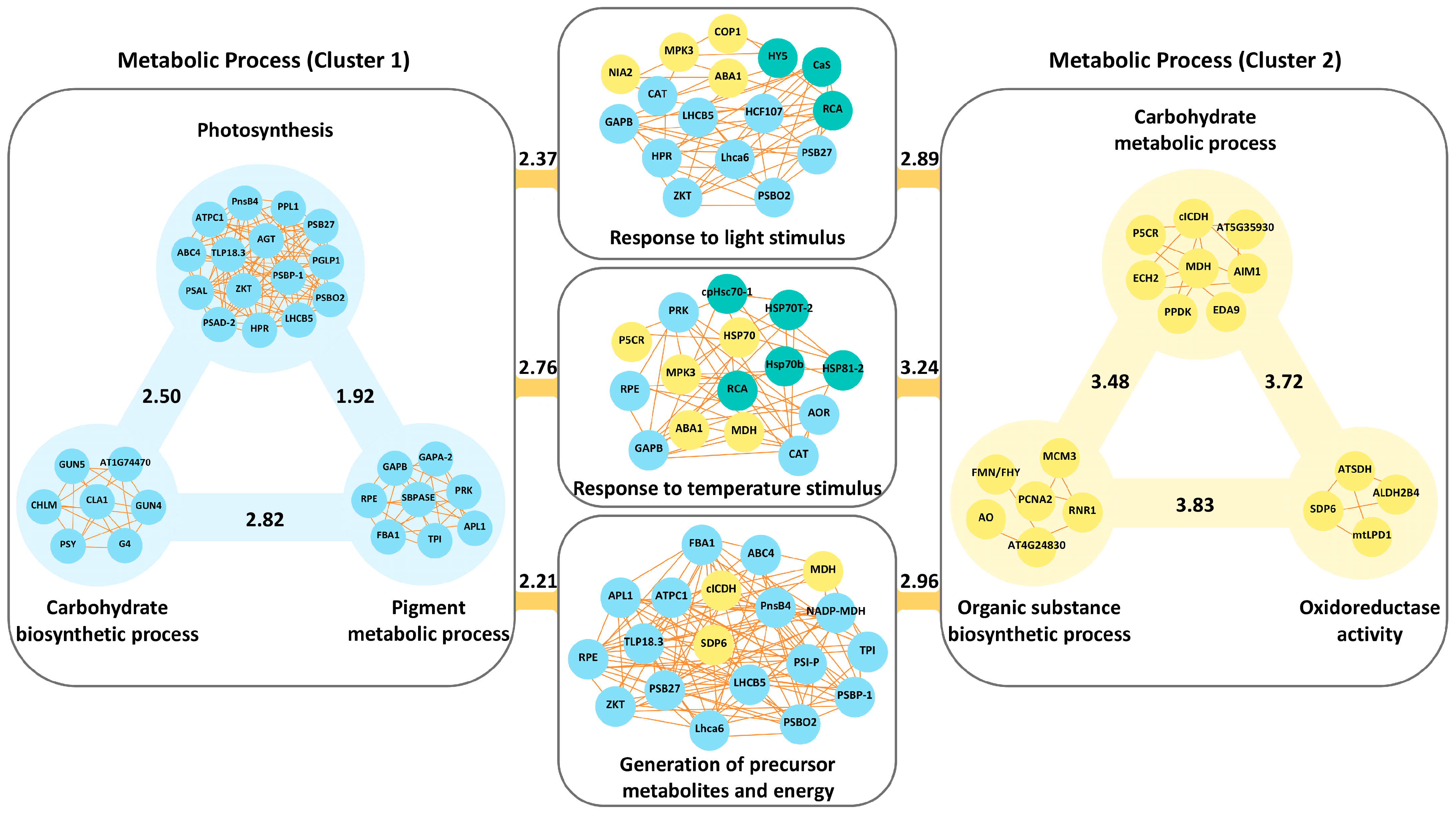 Horticulturae 10 00993 g003