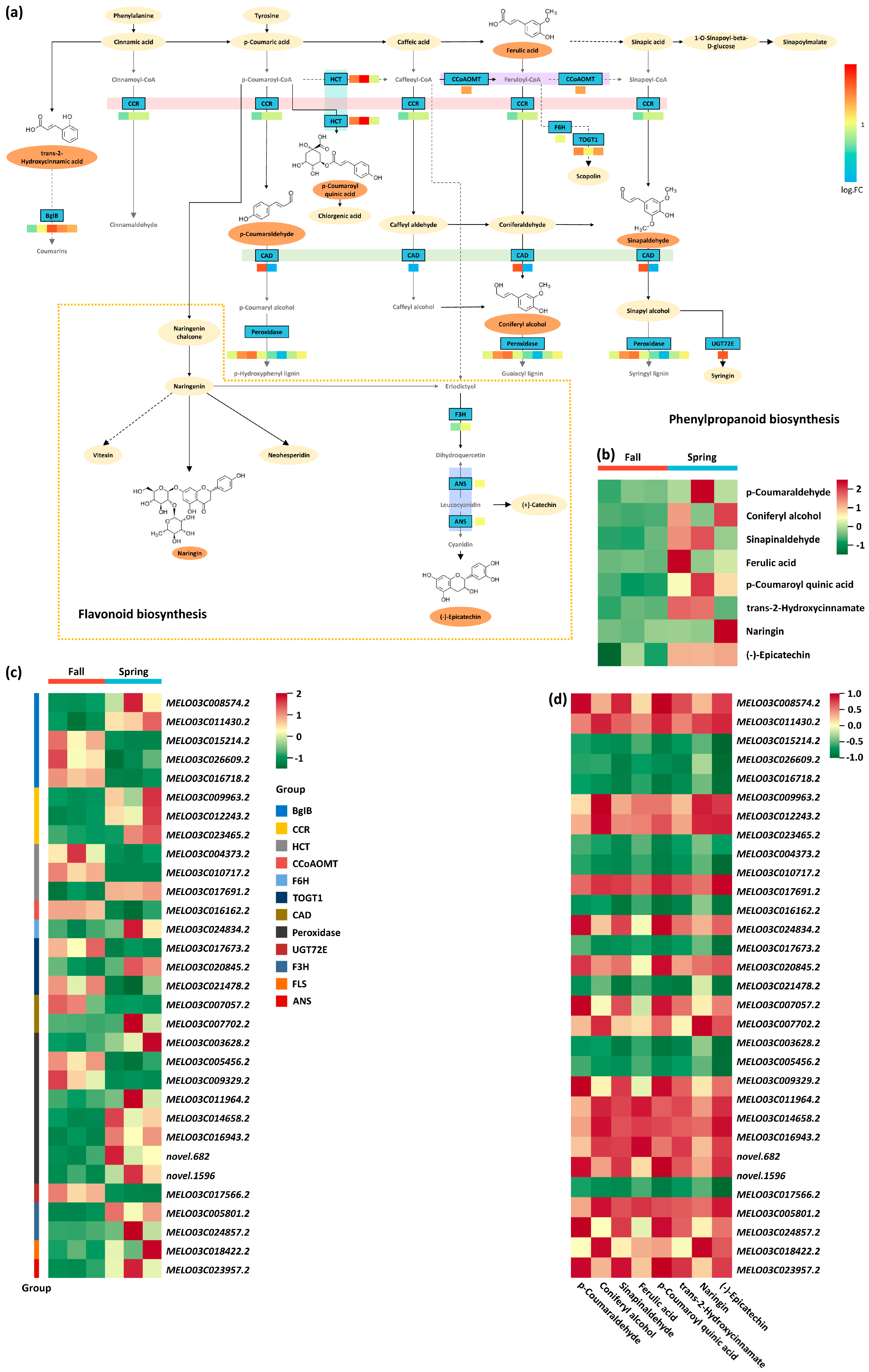Horticulturae 10 00993 g004