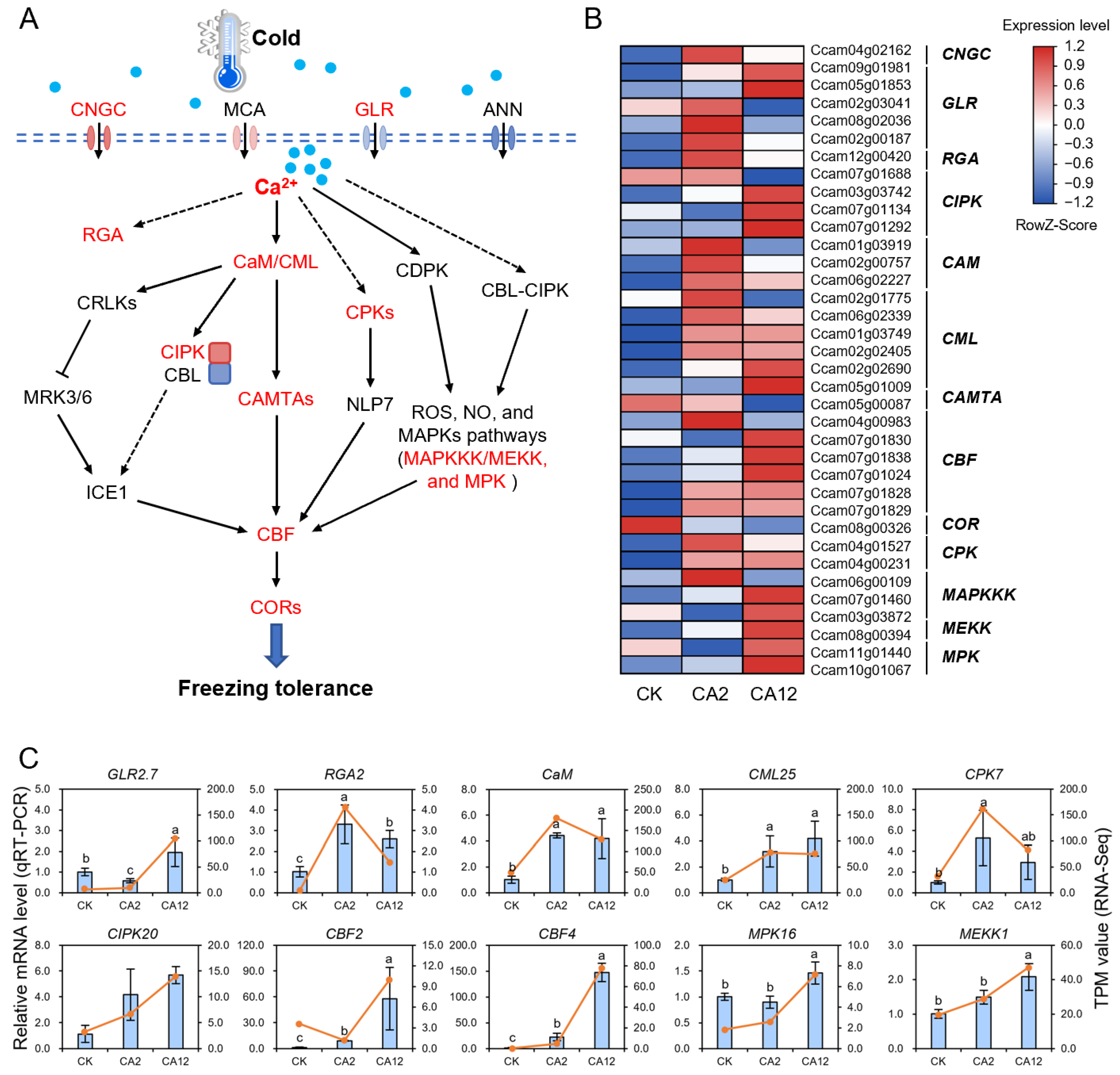 Horticulturae 10 00995 g003