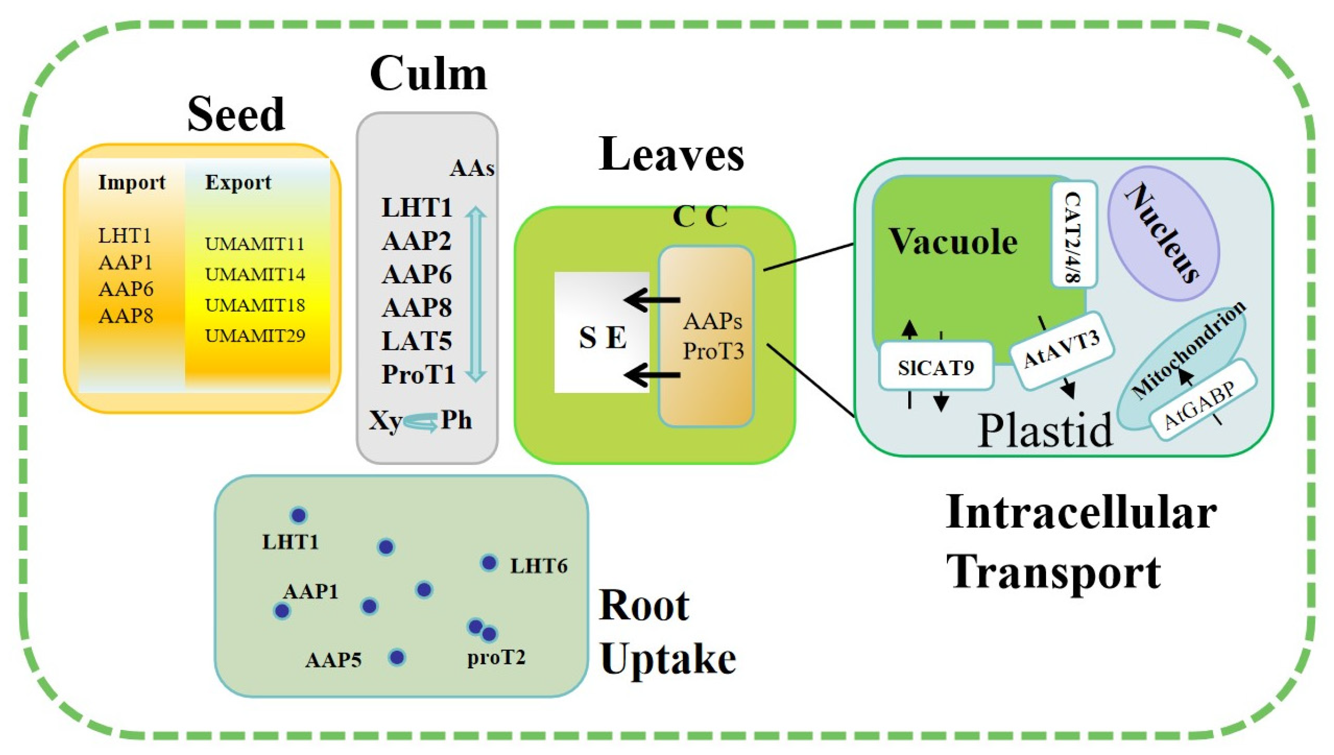 Horticulturae 10 00999 g001
