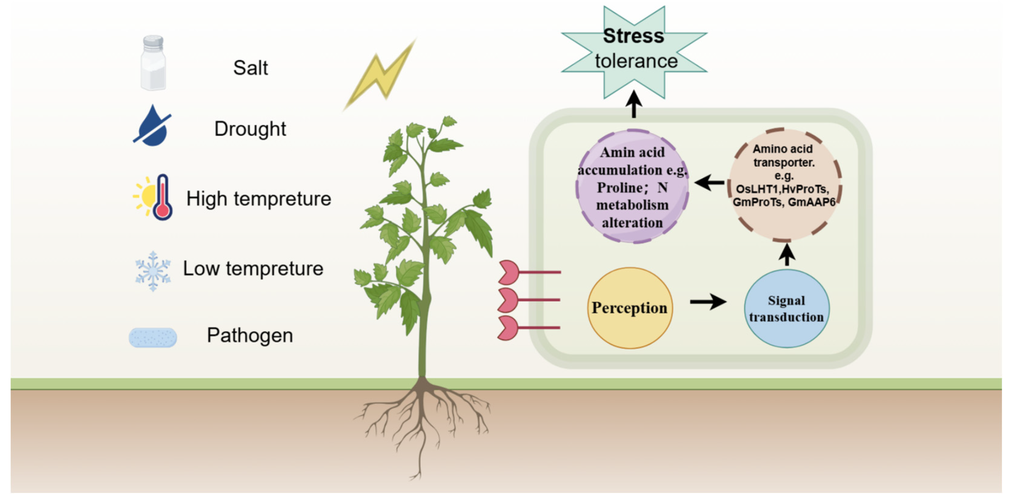 Horticulturae 10 00999 g002