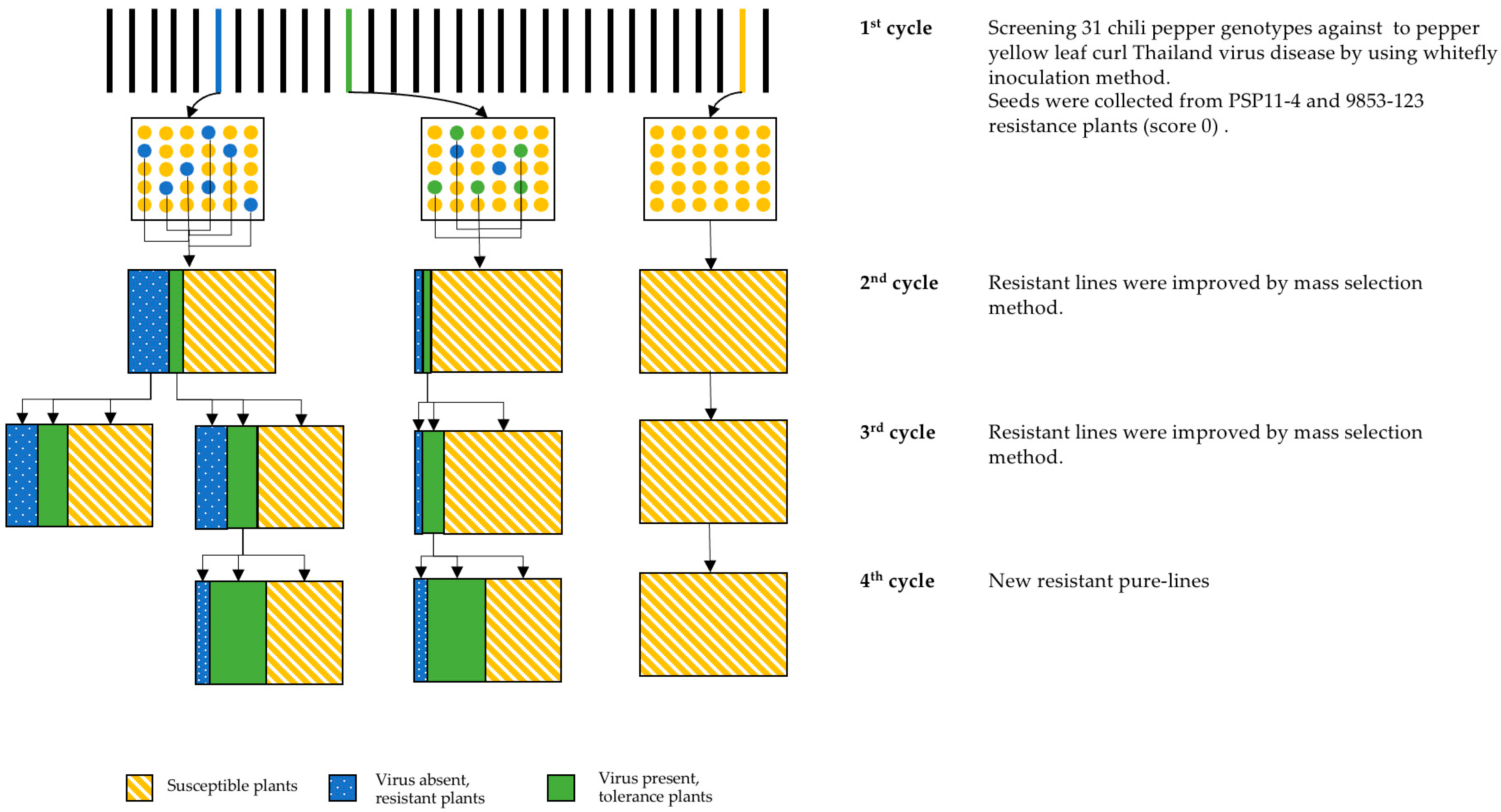 Horticulturae 10 01000 g001