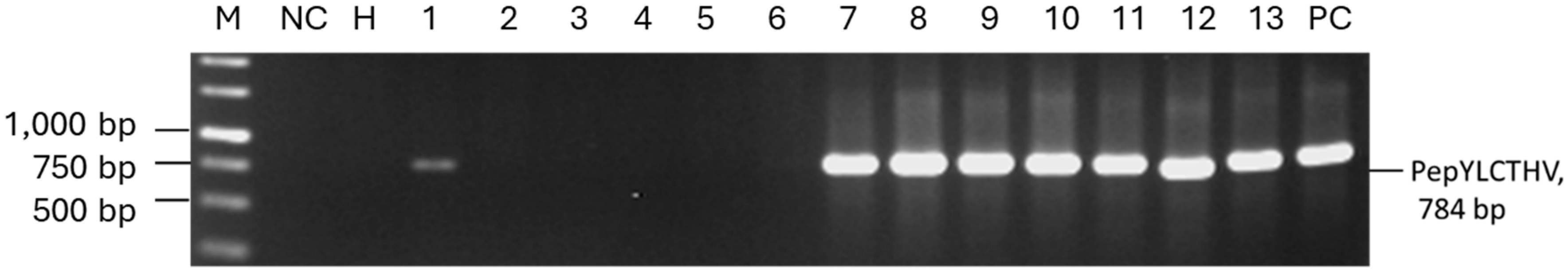 Horticulturae 10 01000 g003