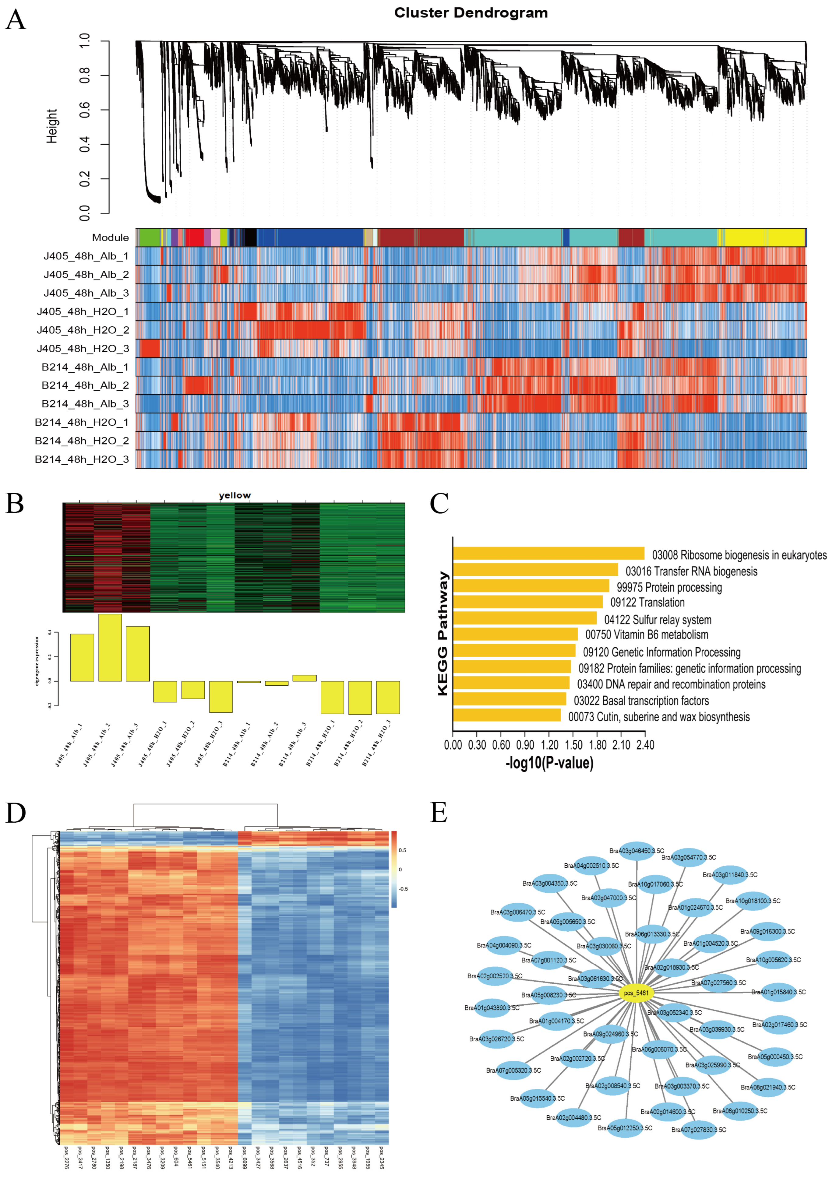 Horticulturae 10 01001 g005
