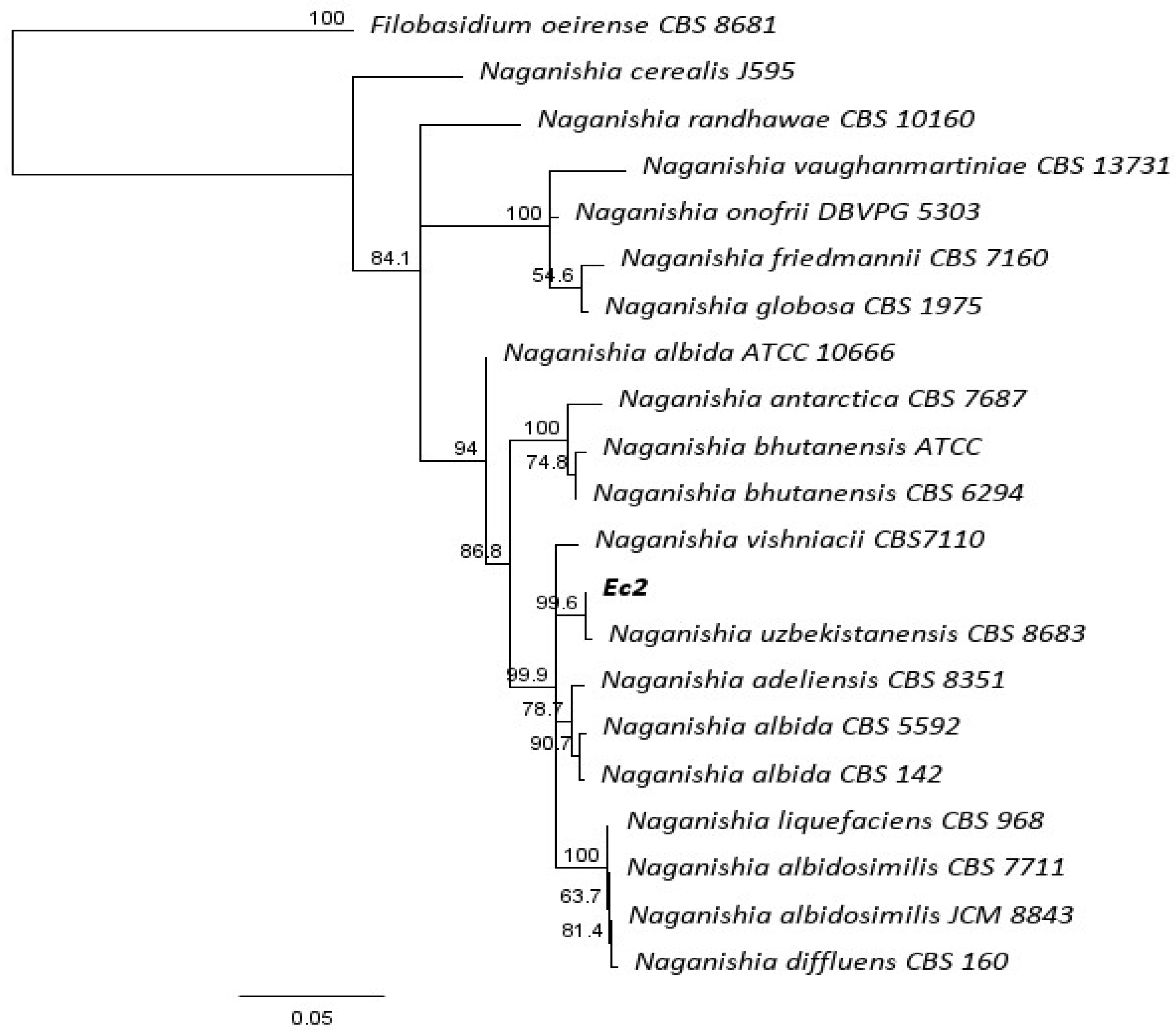 Horticulturae 10 01005 g001 Horticulturae 10 01005 g001