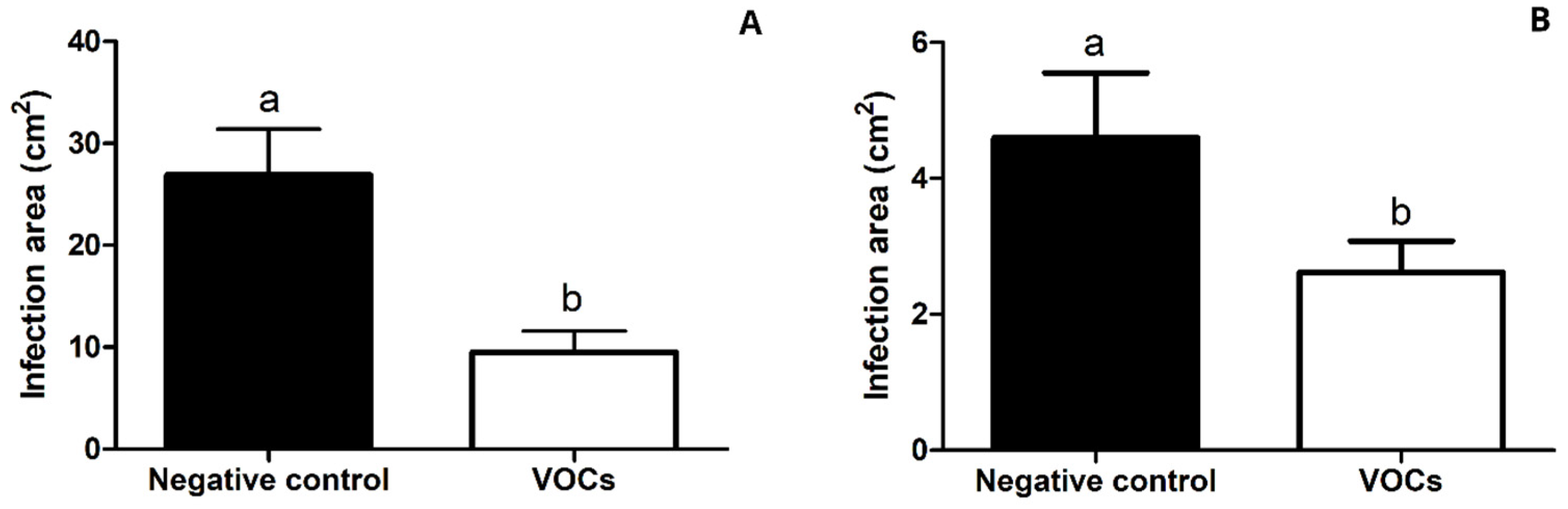 Horticulturae 10 01005 g012 Horticulturae 10 01005 g012