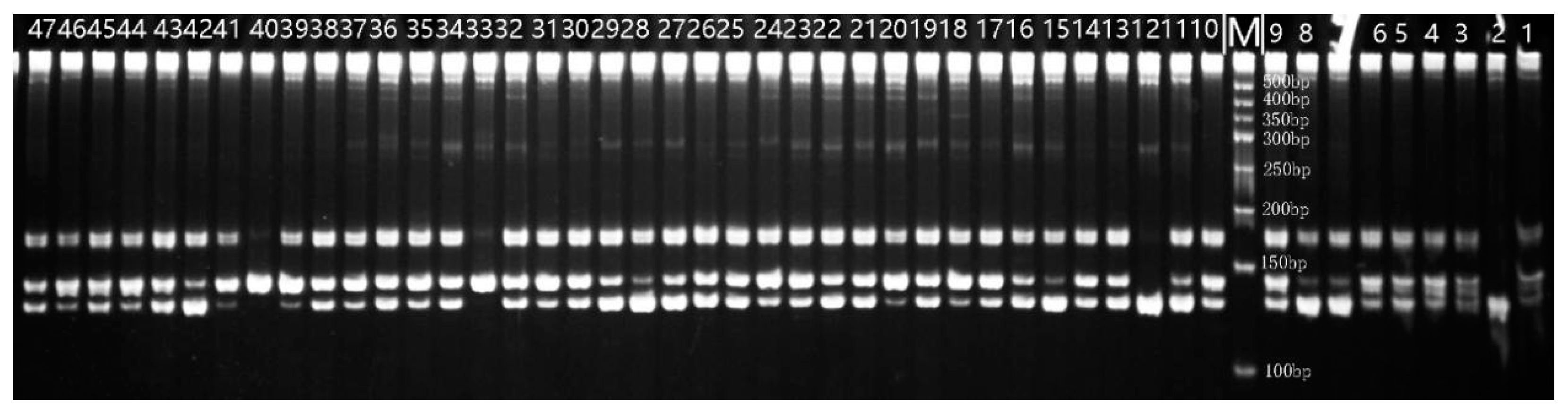 Horticulturae 10 01008 g001