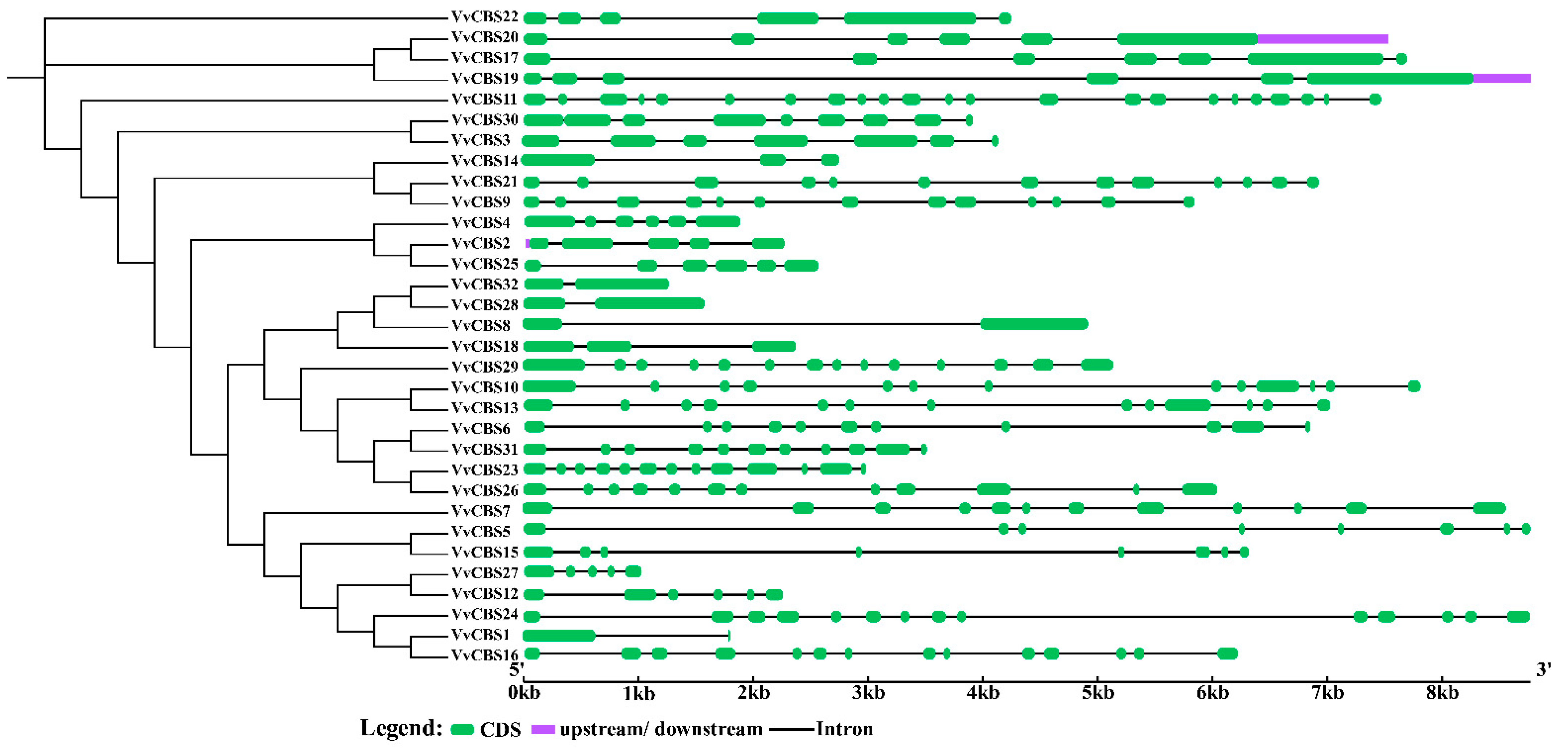 Horticulturae 10 01009 g002