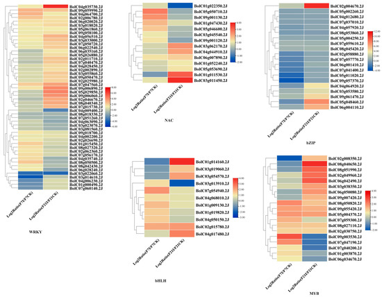 A Combined mRNA and microRNA Transcriptome Analysis of B