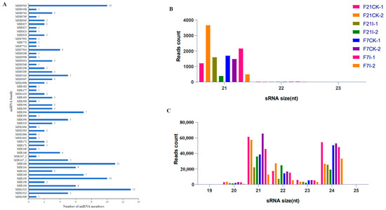 A Combined mRNA and microRNA Transcriptome Analysis of B