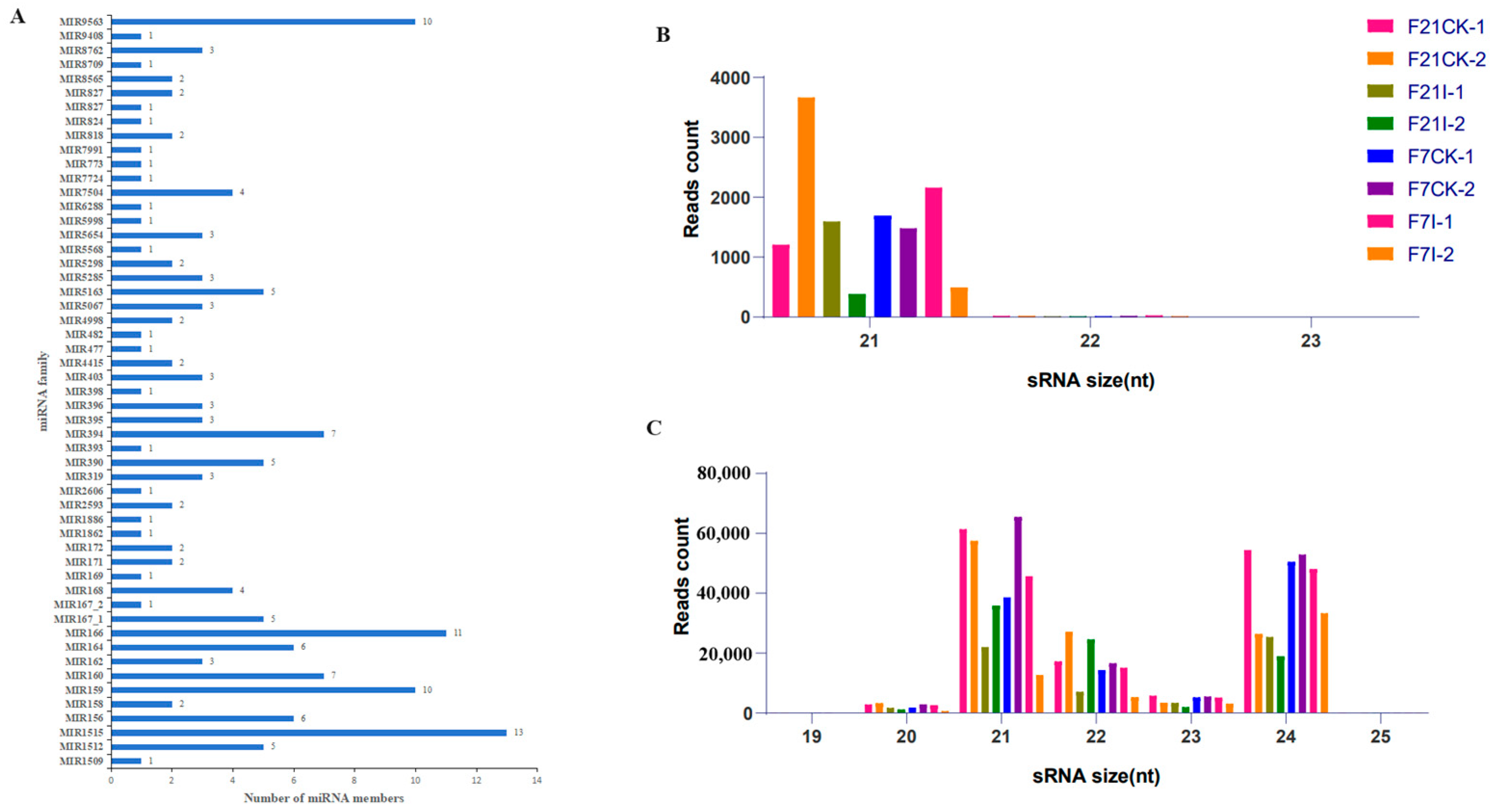 Horticulturae 10 01013 g006