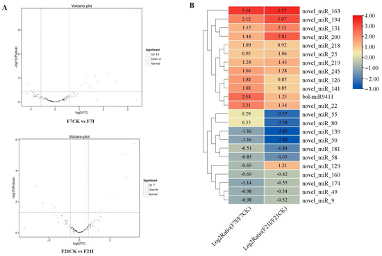 ベース LTD -MD500 Oxidative fluids facilitate Cd enrichment in a magmatic