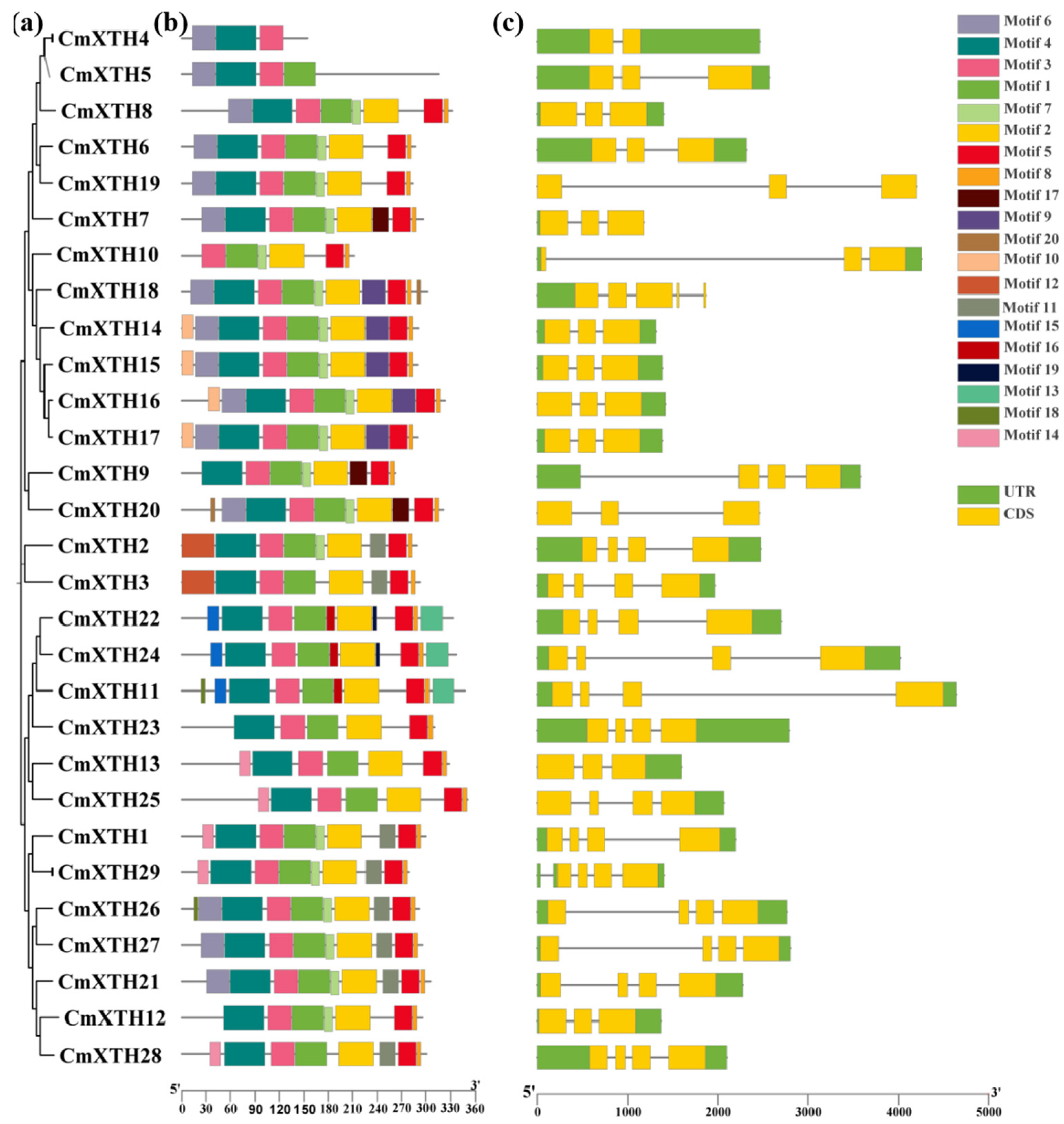 Horticulturae 10 01017 g003