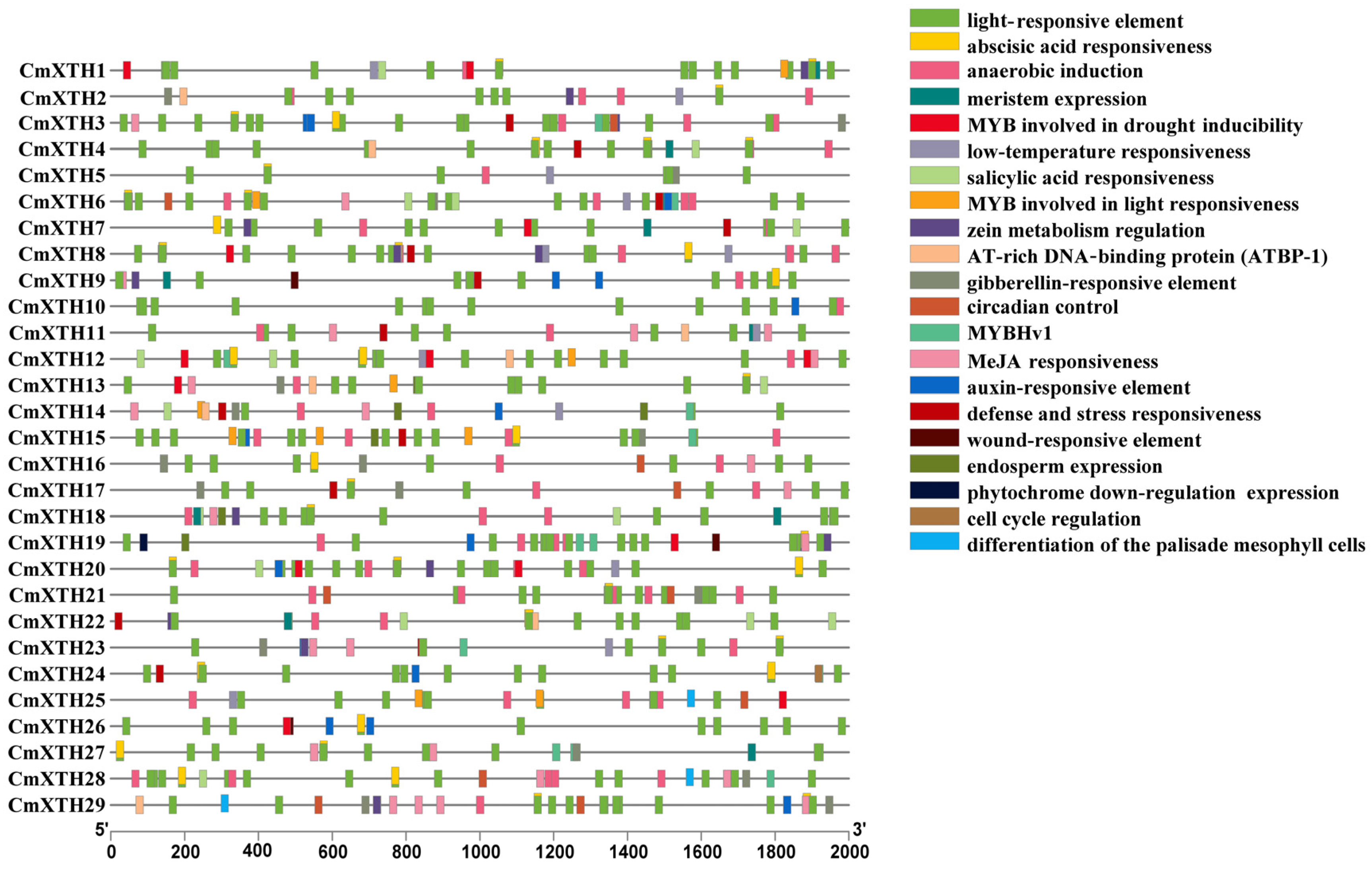 Horticulturae 10 01017 g005