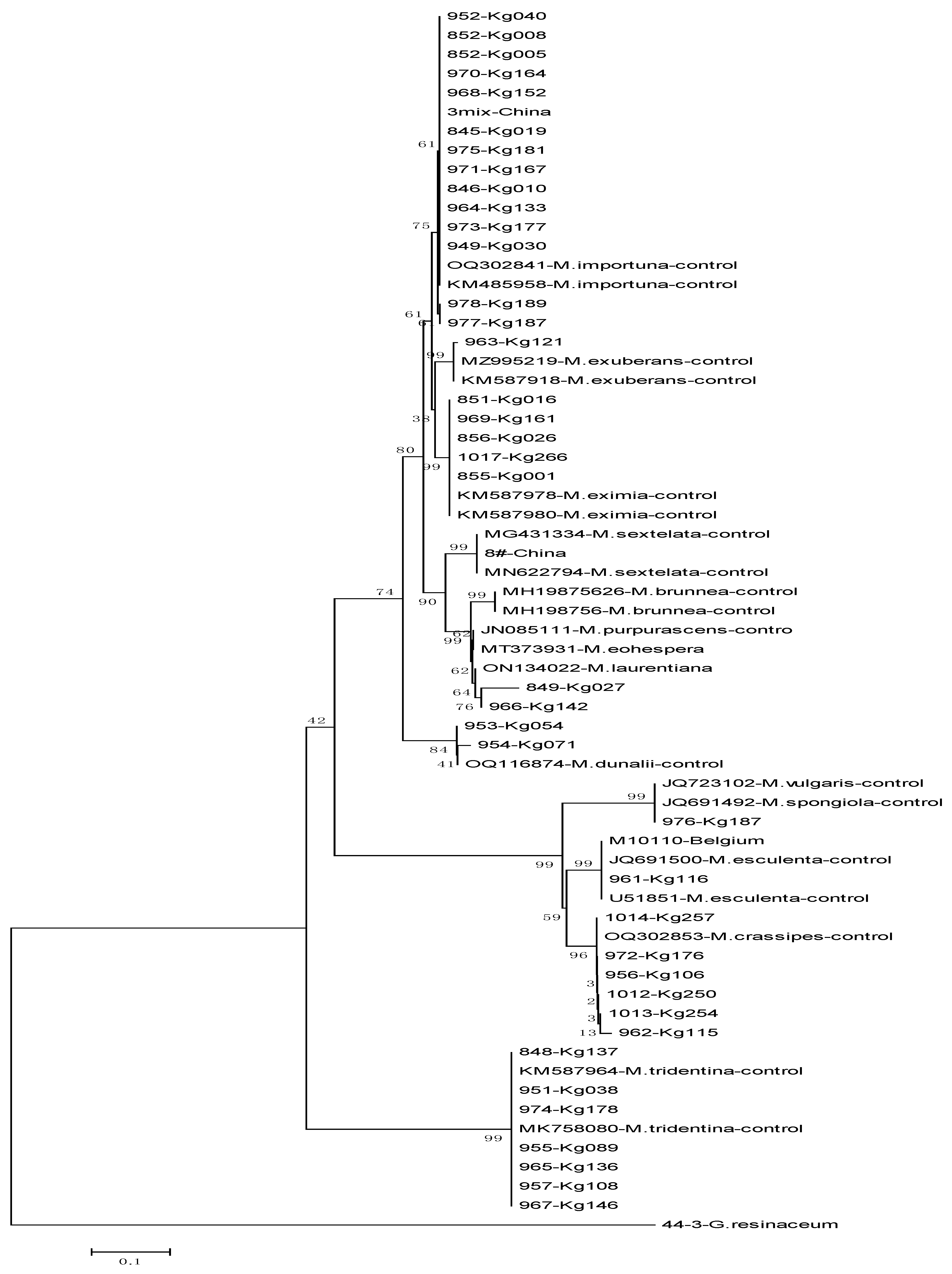 Horticulturae 10 01020 g001