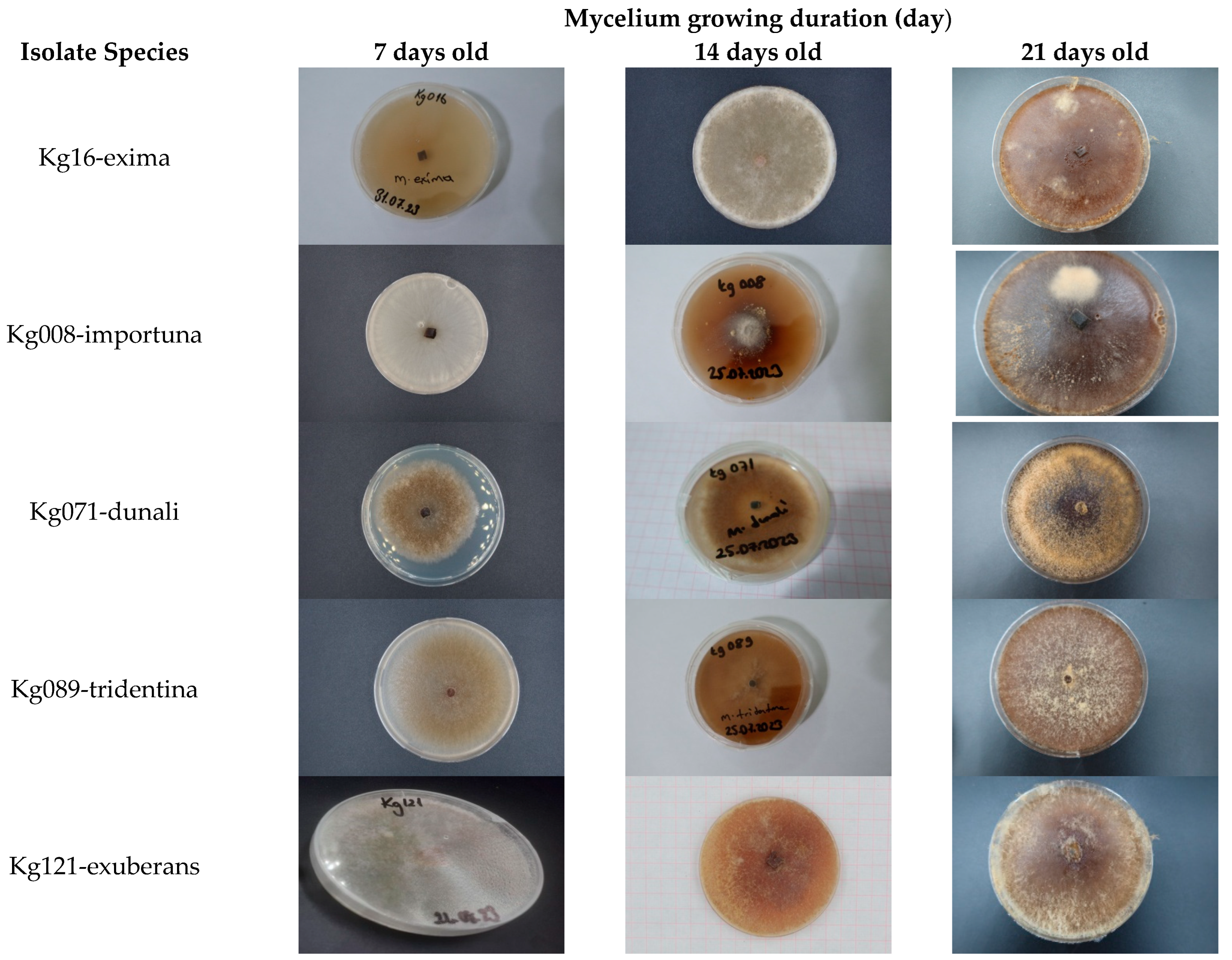 Horticulturae 10 01020 g003a