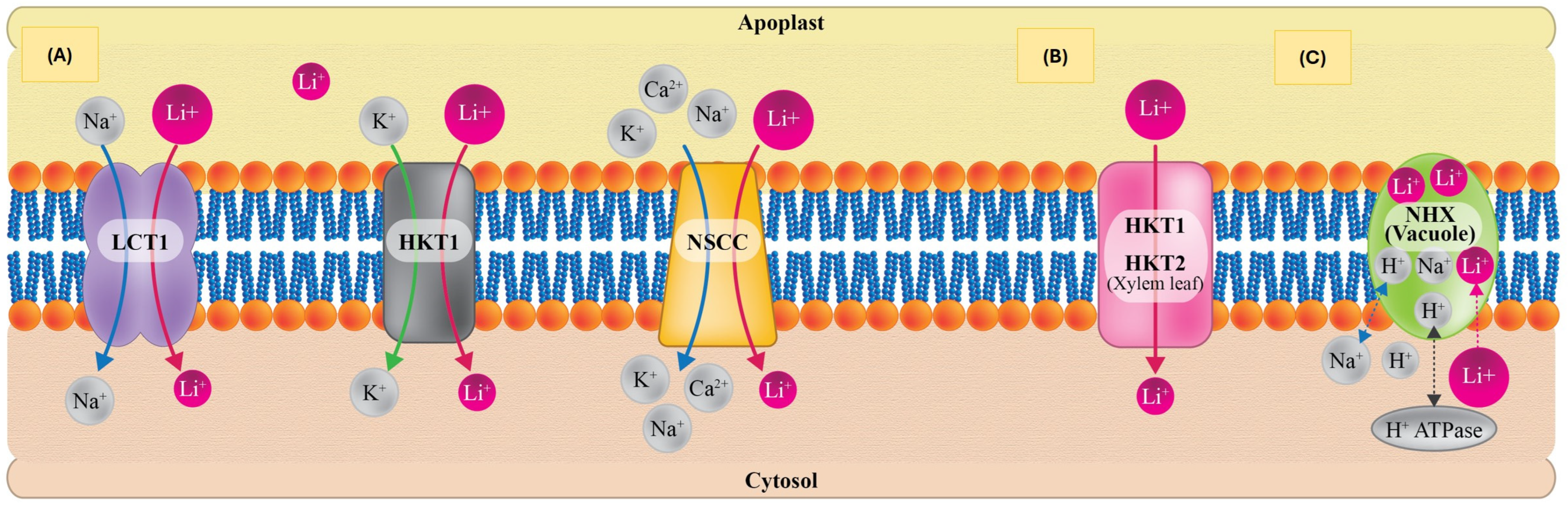 Horticulturae 10 01022 g003