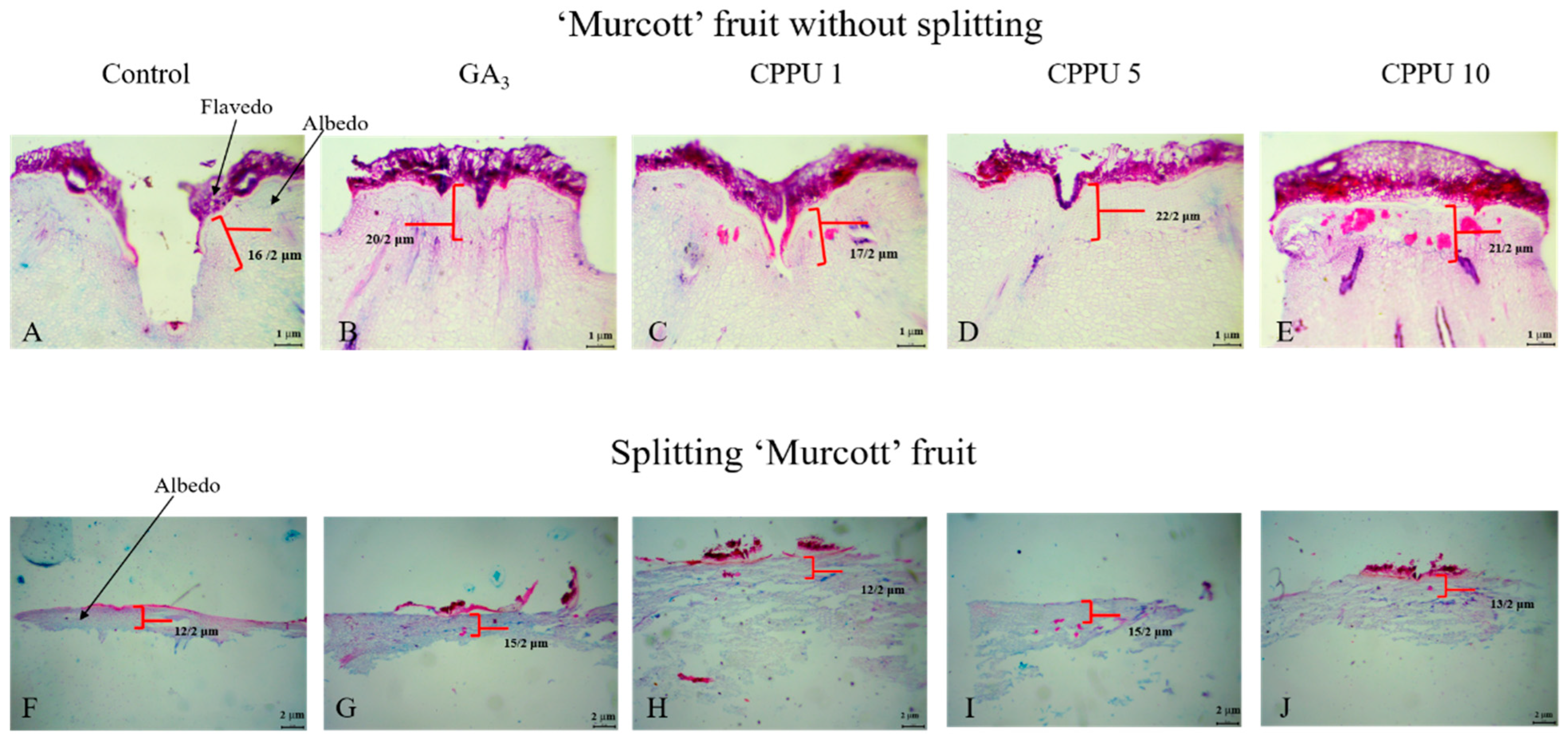 Horticulturae 10 01023 g003
