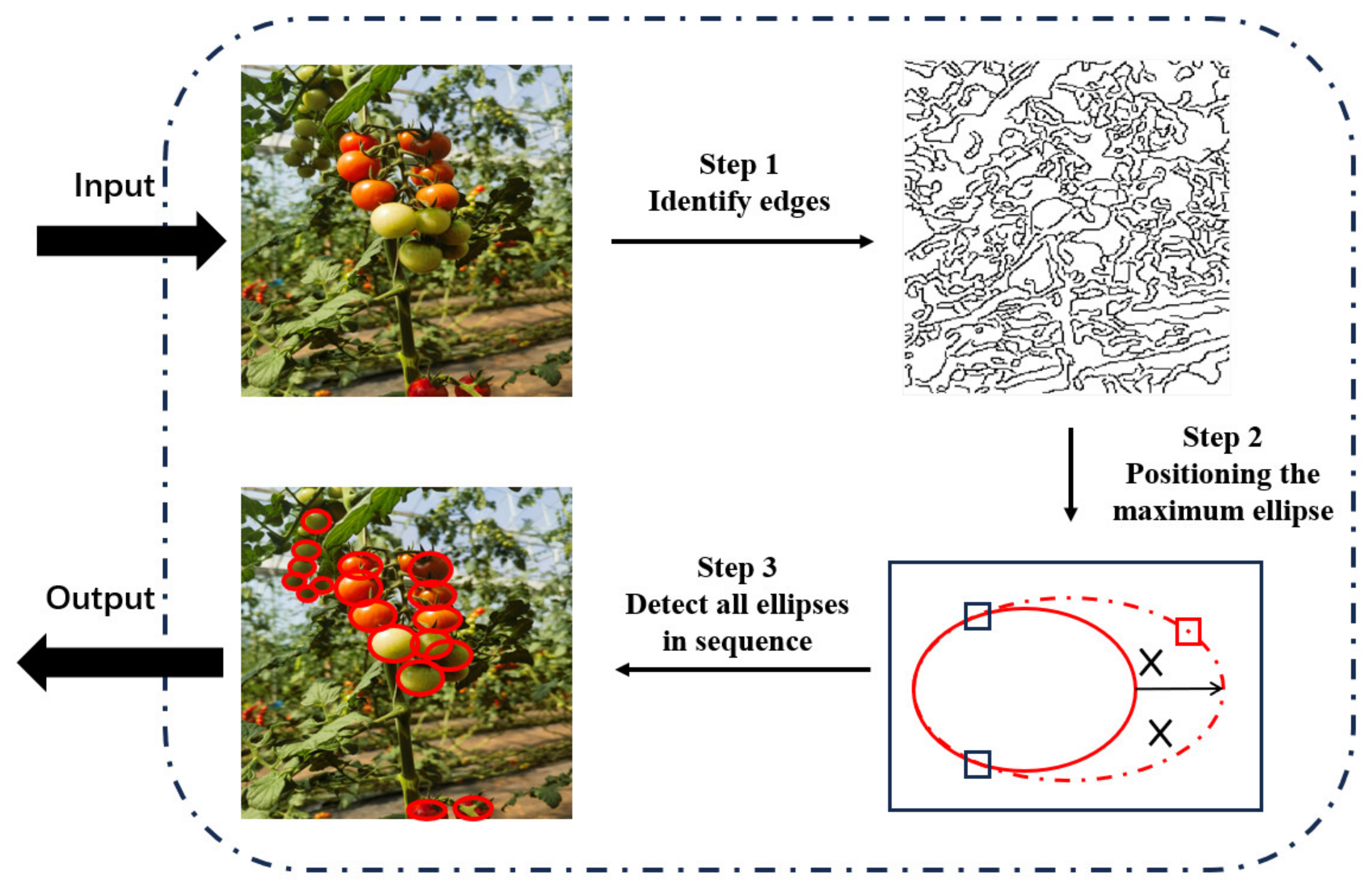 Horticulturae 10 01024 g004