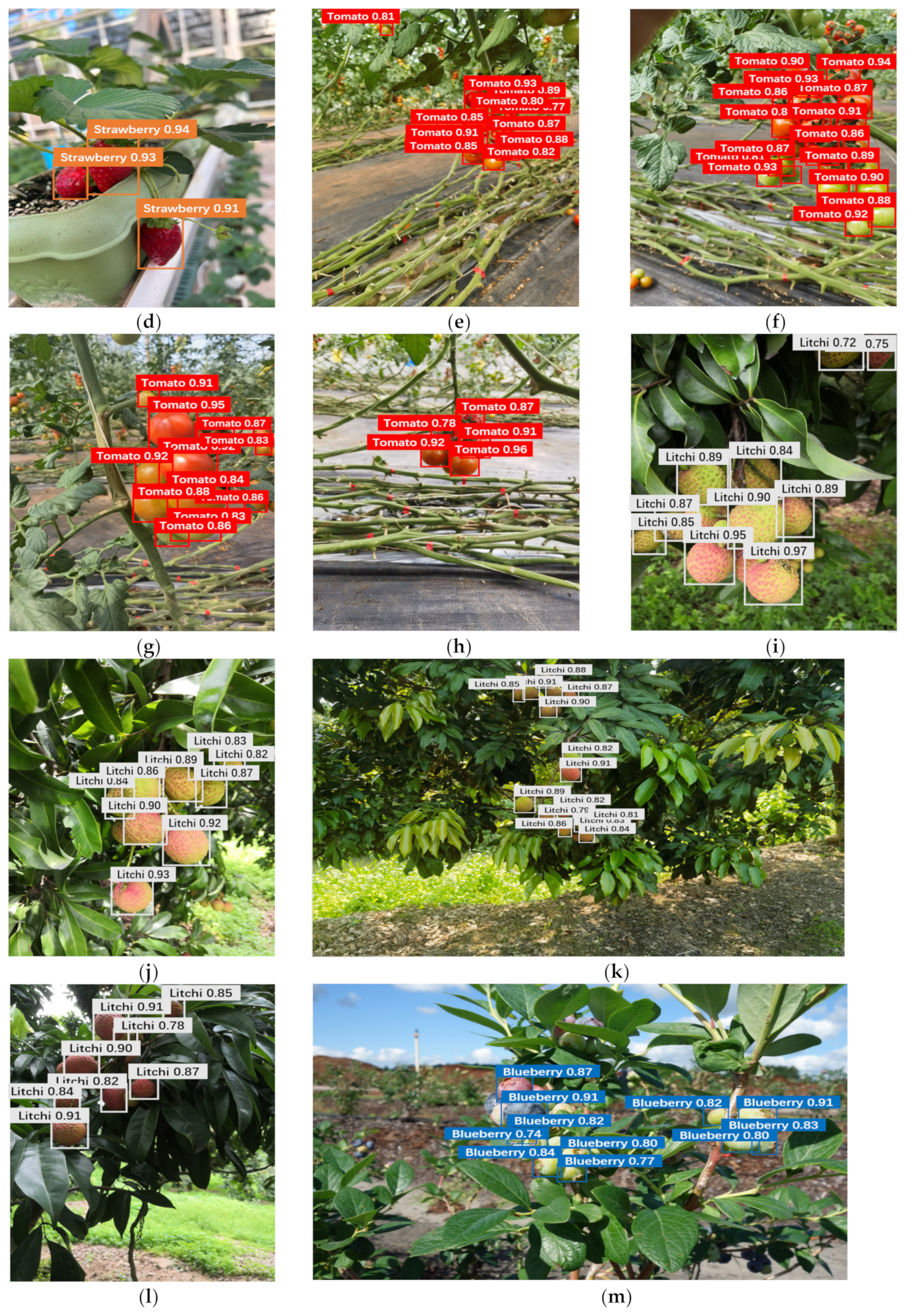 Horticulturae 10 01024 g006b