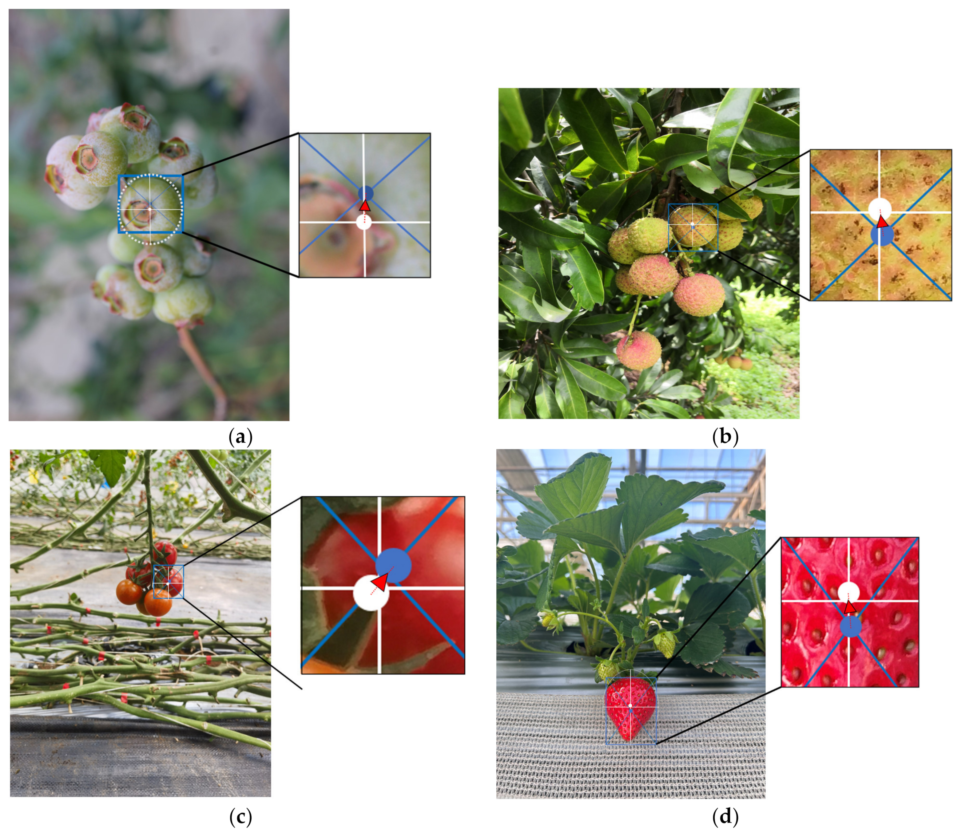 Horticulturae 10 01024 g007