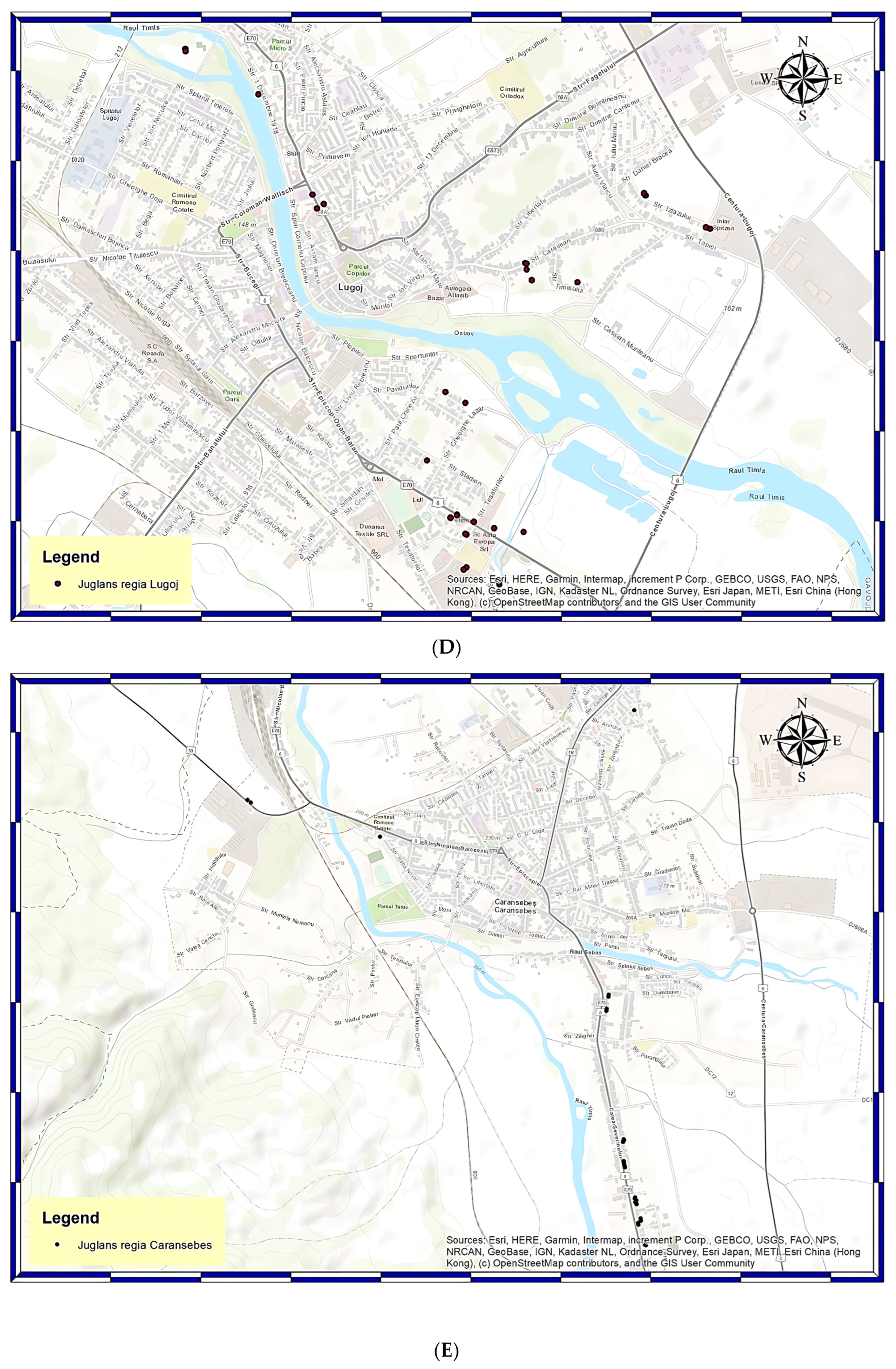 Horticulturae 10 01027 g001c