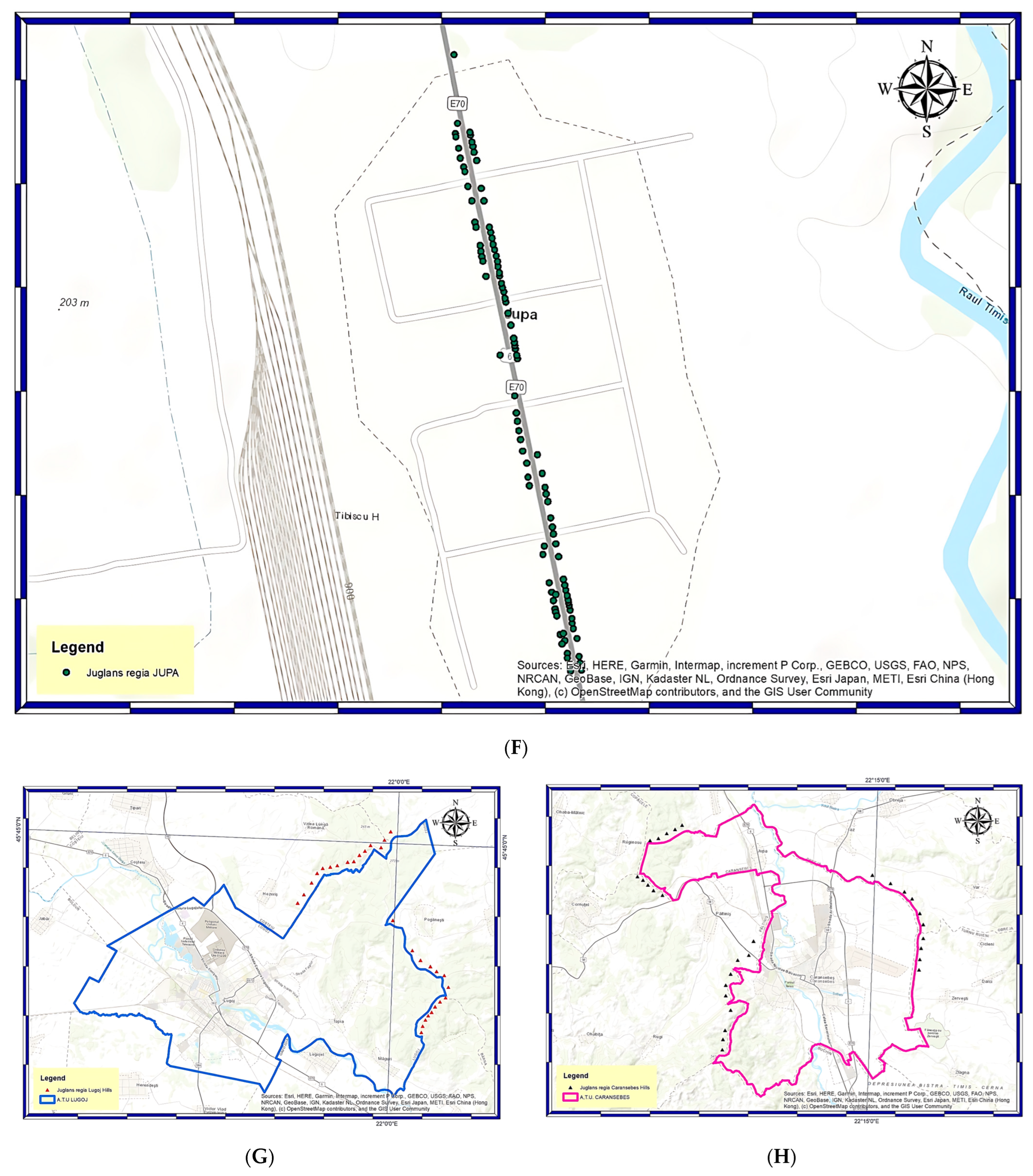 Horticulturae 10 01027 g001d