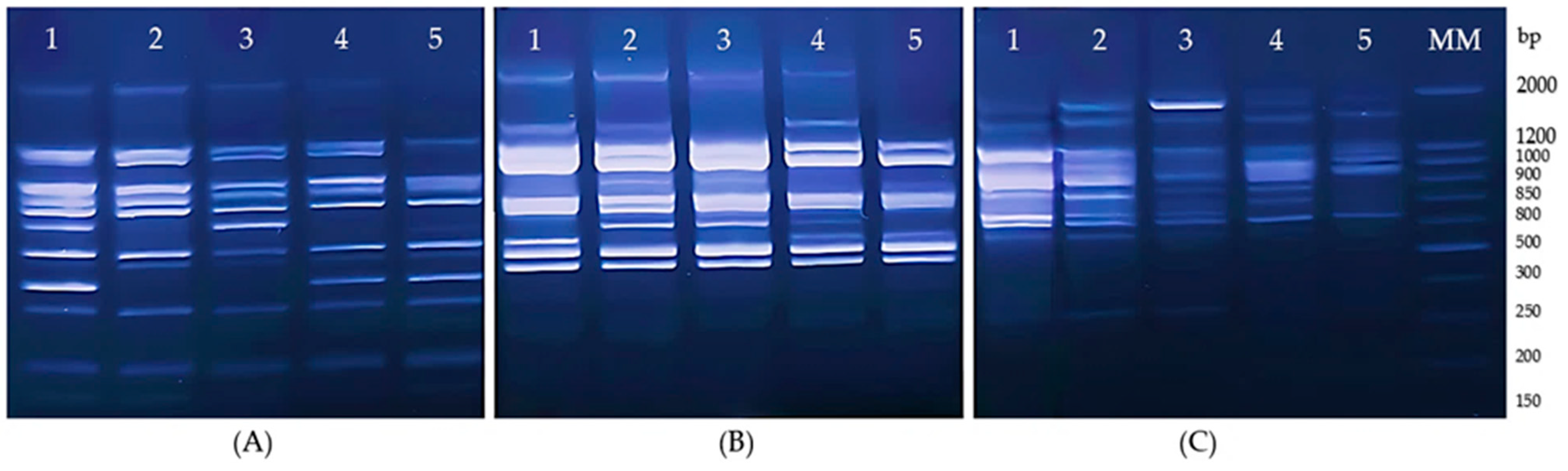 Horticulturae 10 01027 g003