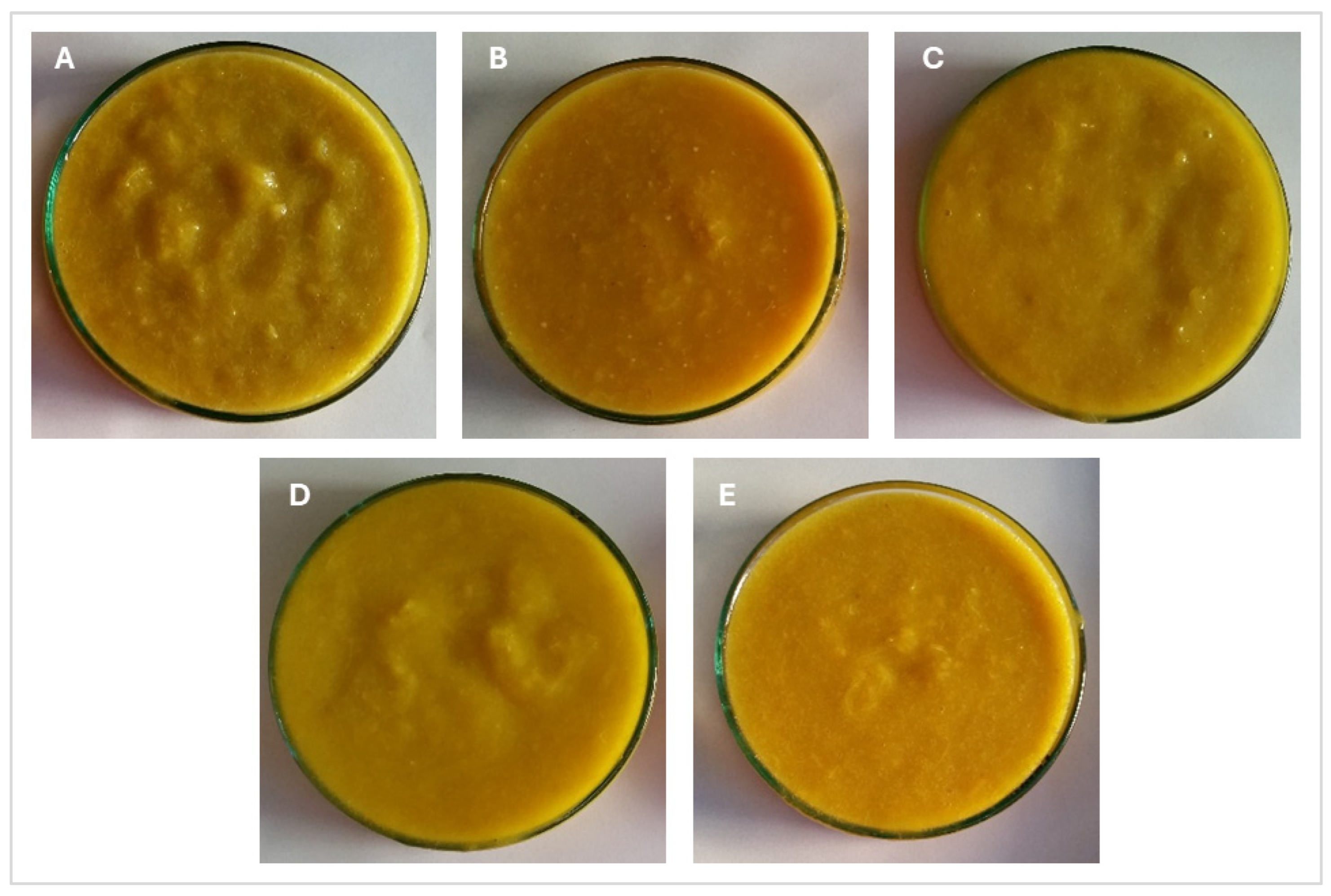 Horticulturae 10 01028 g002