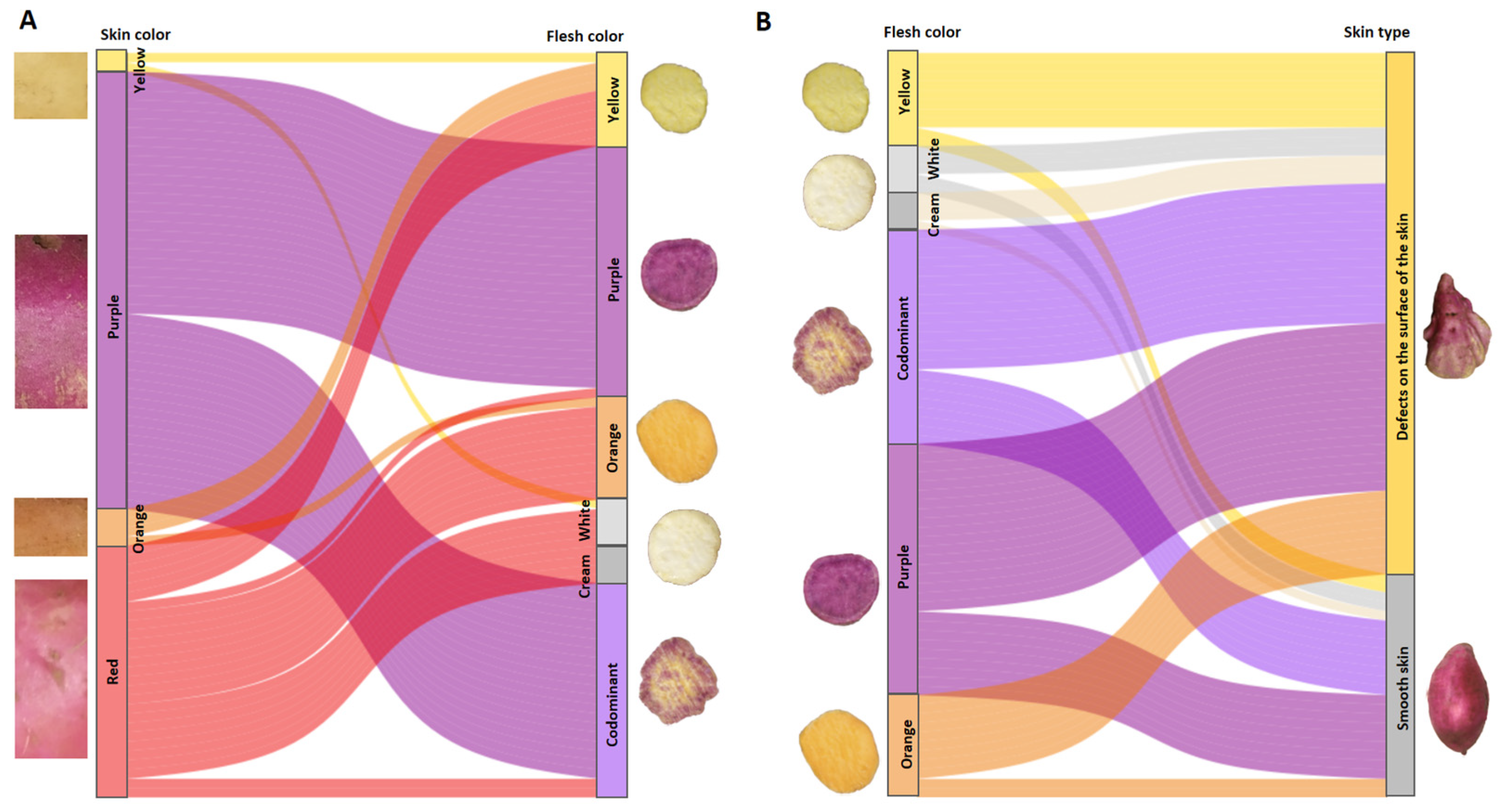 Horticulturae 10 01032 g011